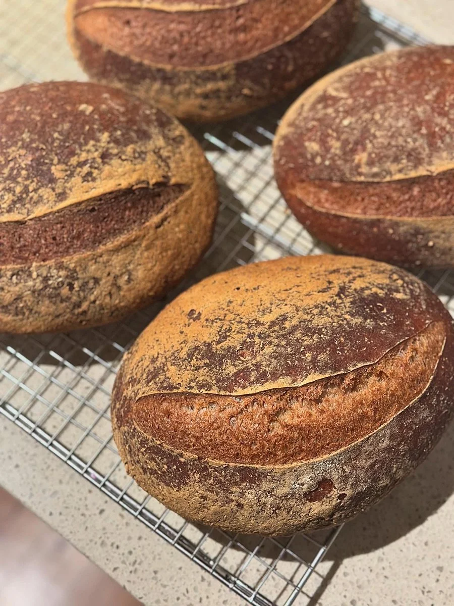 buckwheat-sourdough-boules.jpg