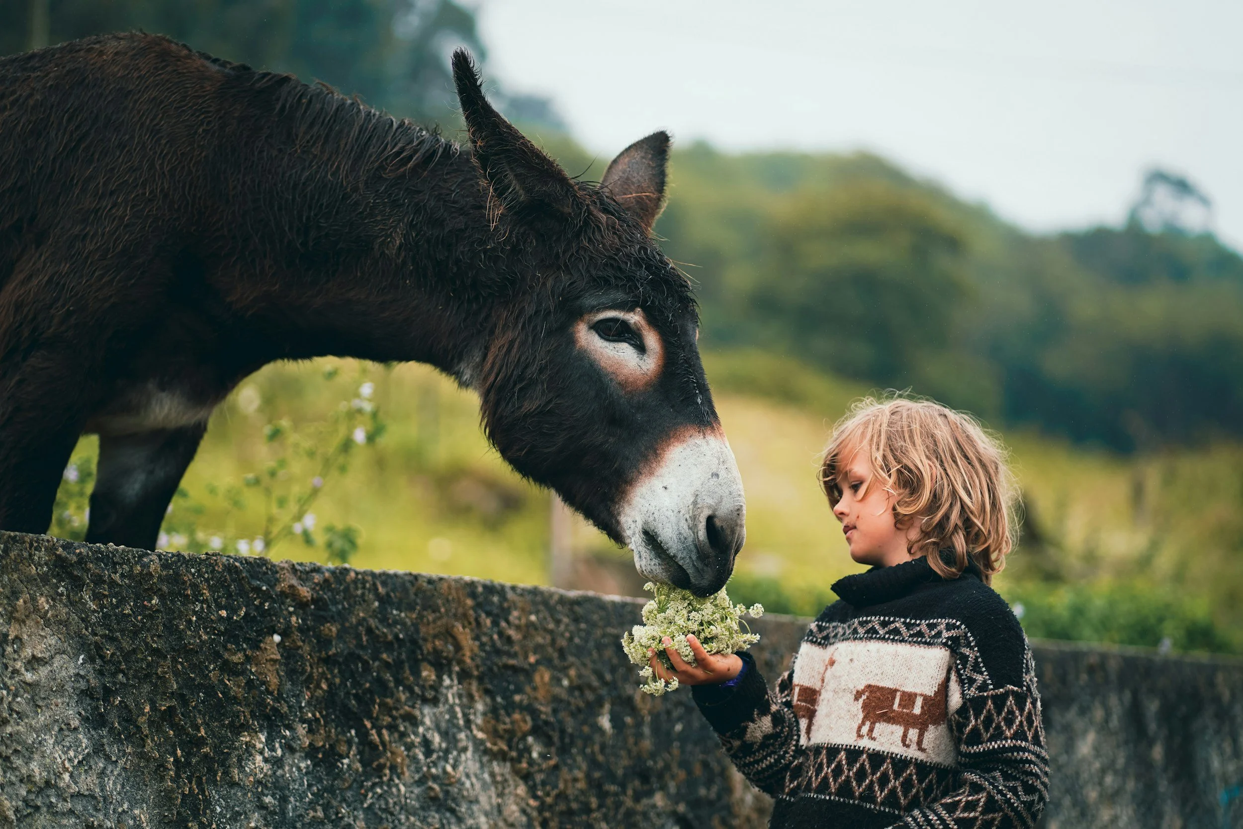 Conflict Avoidance: Why Leaders Must Go First