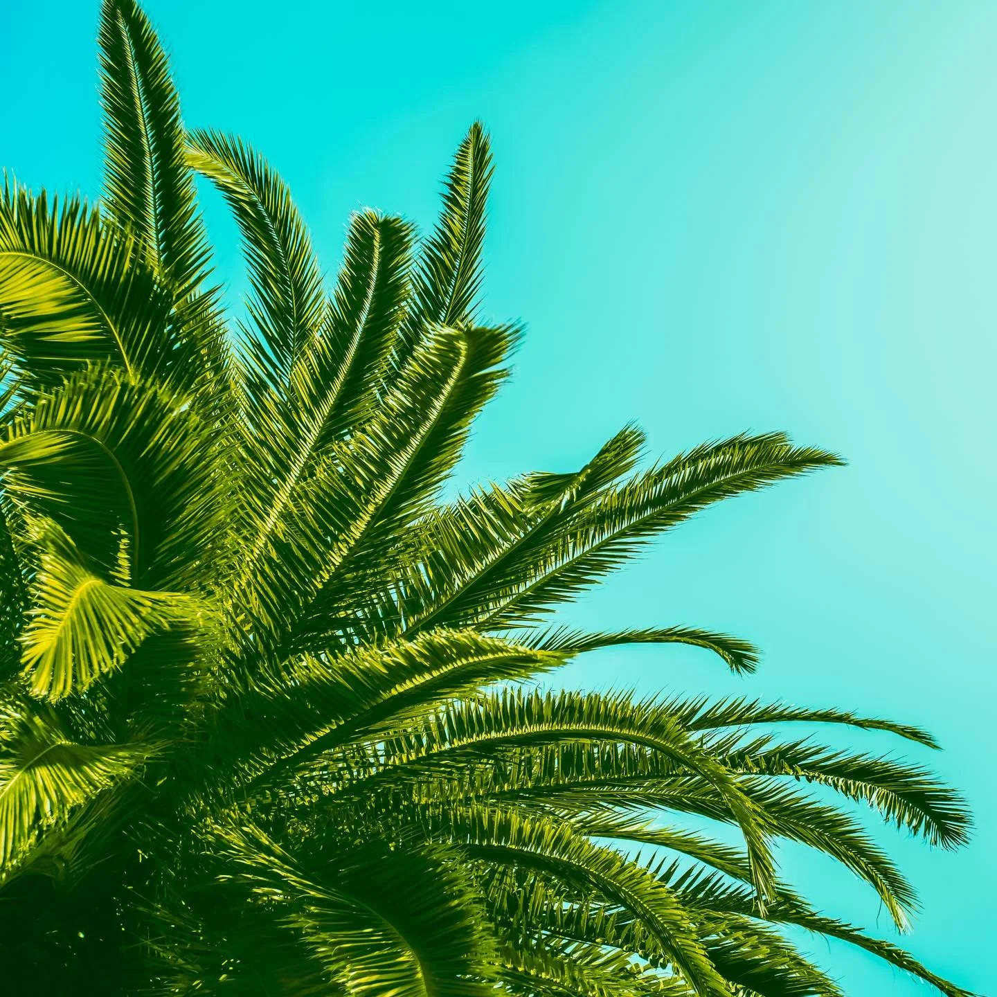 Somewhere in LA&hellip;
.
.
.
#AGAMEOFTONES #CANON
#ILLGRAMMERS #CALILIFE #LOSANGELES