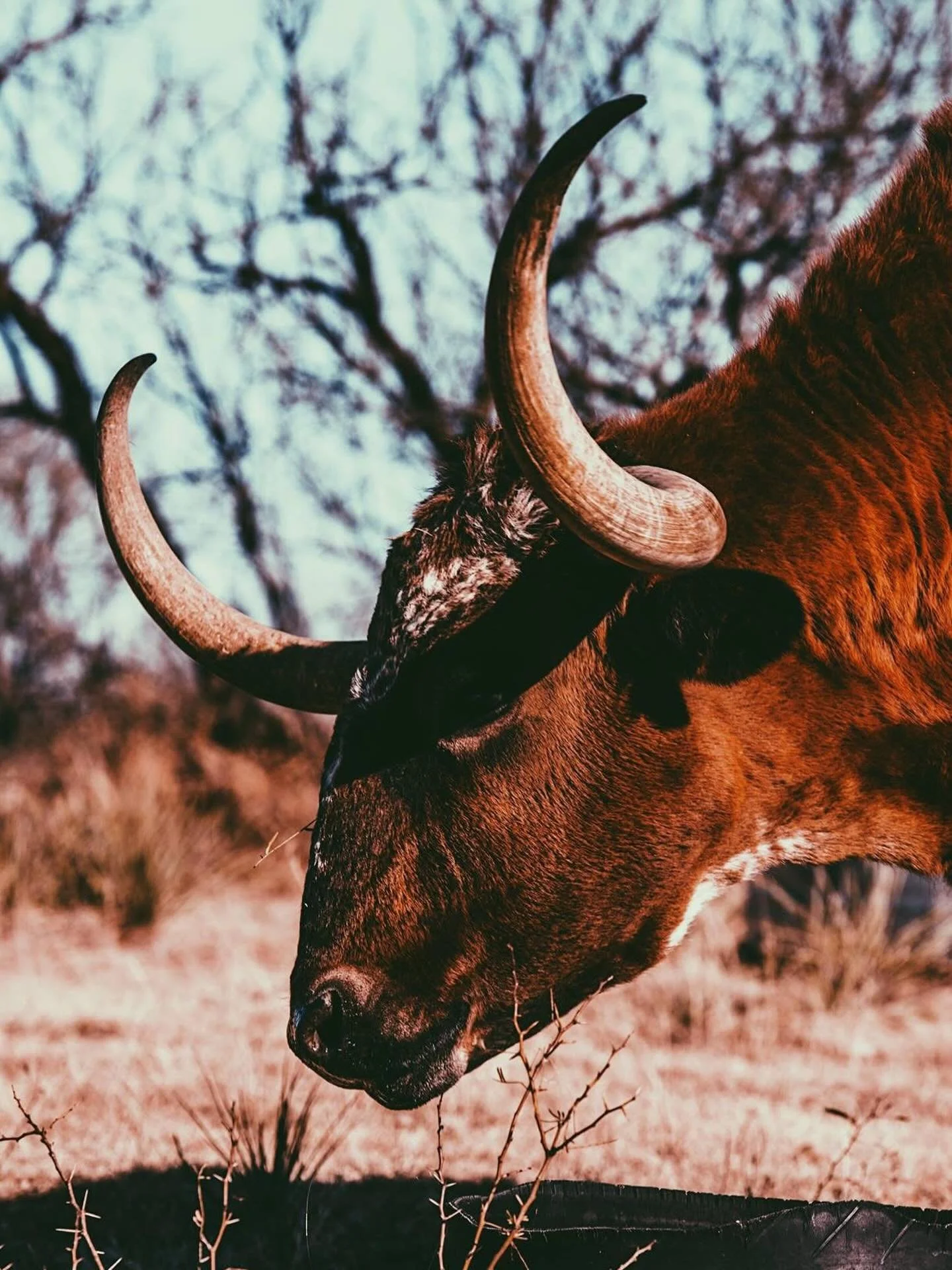 Somewhere in Amarillo 
.
.
.
#AMARILLO #CANON
#TEXAS #TRAVELTEXAS #WESTTEXAS