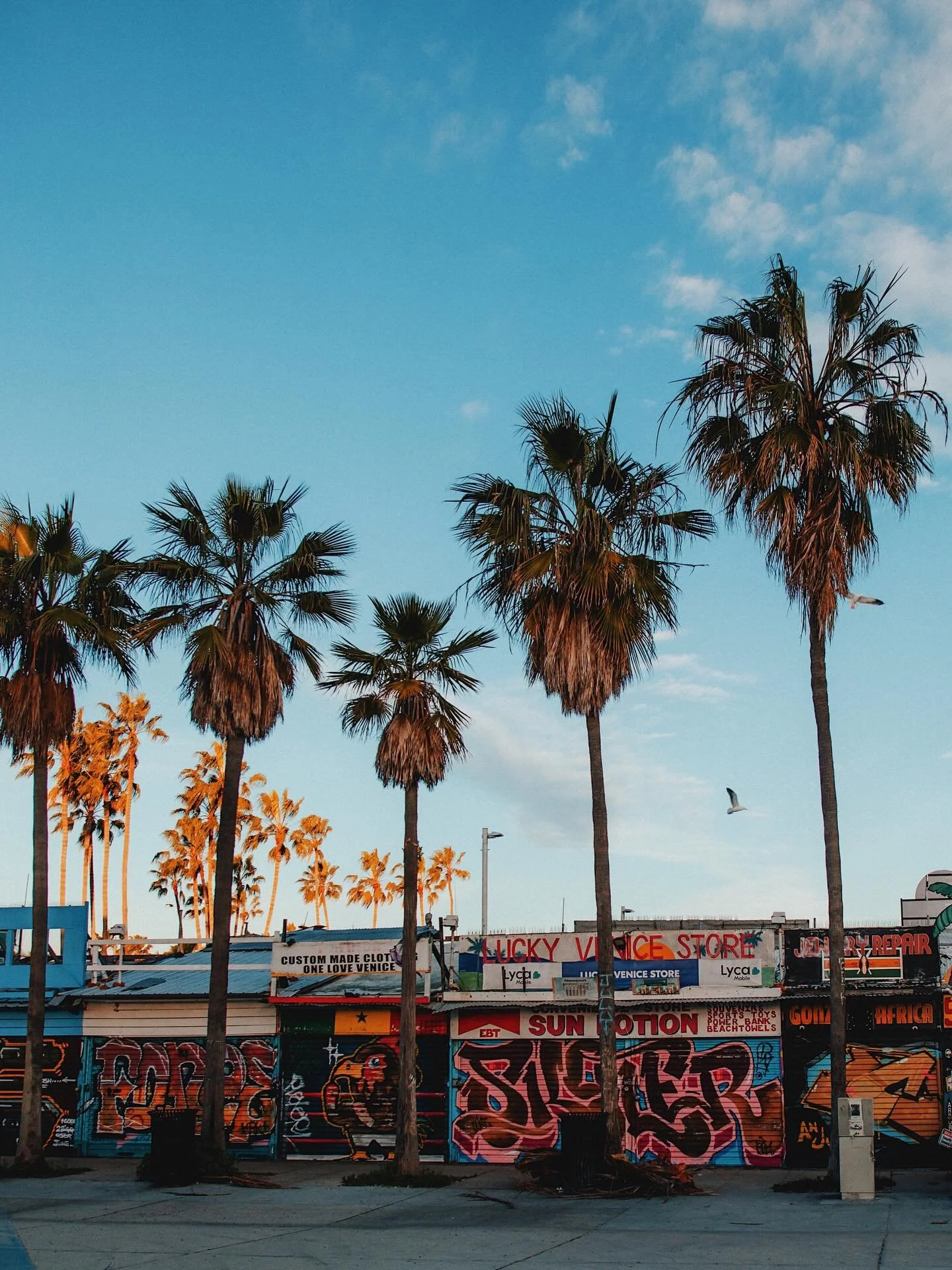 January, in Venice Beach, CA.
.
.
.
#santamonica #california #venicebeach #canon #35mm