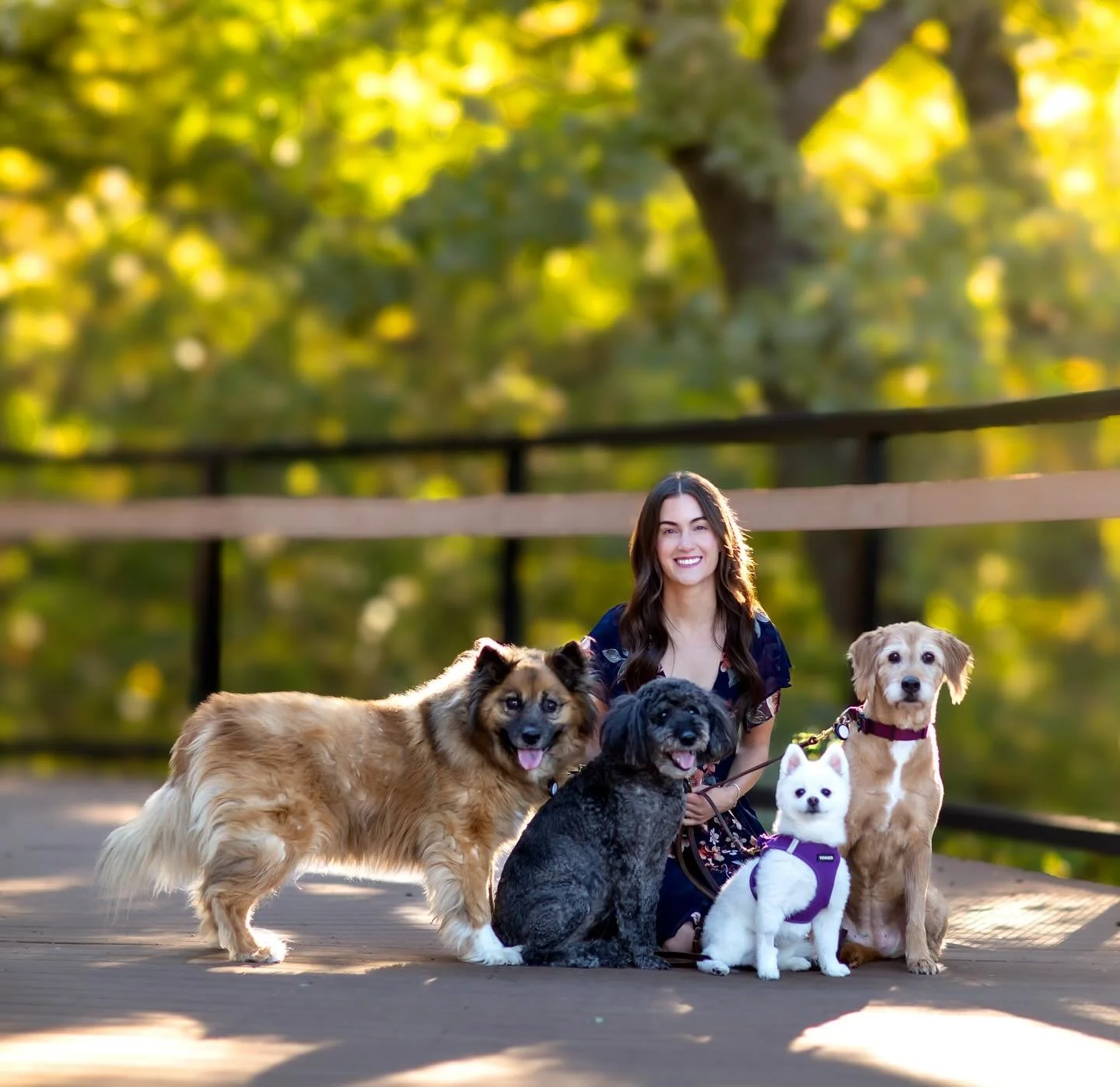 Here&rsquo;s something a little different 😂 🐕 I would love to do more photoshoots with pets in them!
.
.
If you&rsquo;re looking for headshots, or family photos -
Set up a consultation so we can get them done!
.
.
.
#lostgold #goldenhour #dallas #t