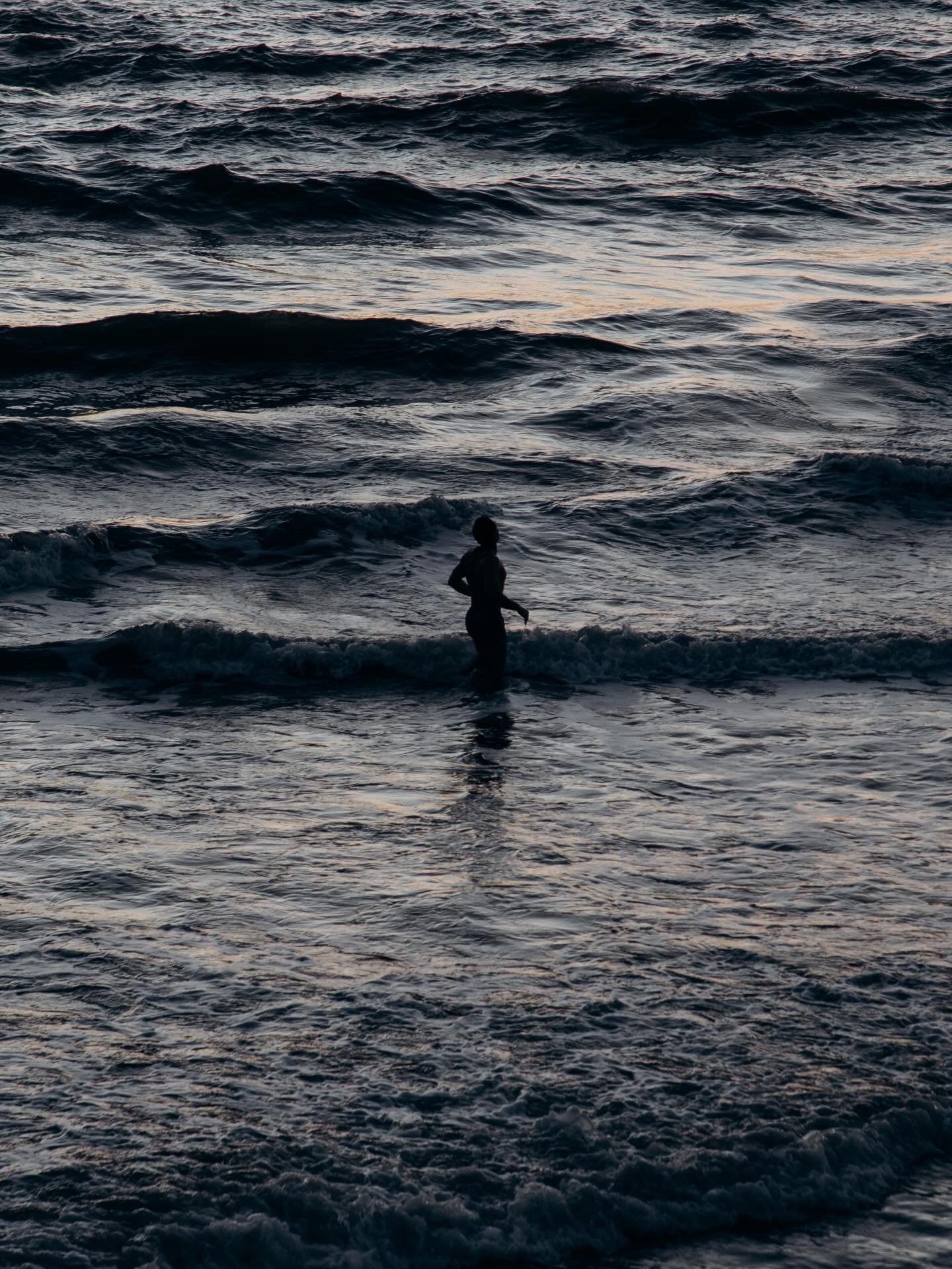 A cold January, in Santa Monica, CA.
.
.
.
#santamonica #california #venicebeach #canon #35mm