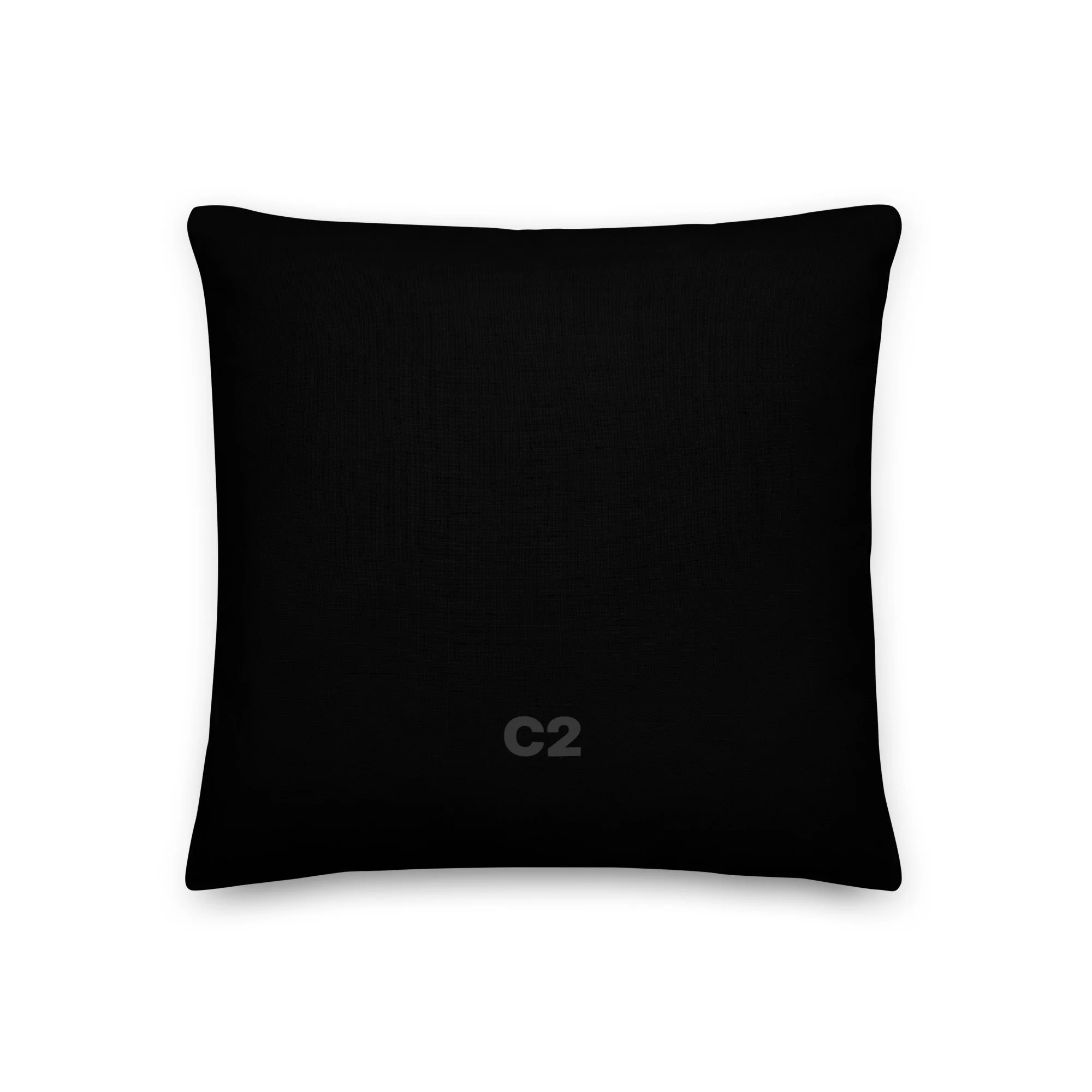 all-over-print-premium-pillow-18x18-back-6a47abe191ac0.jpg