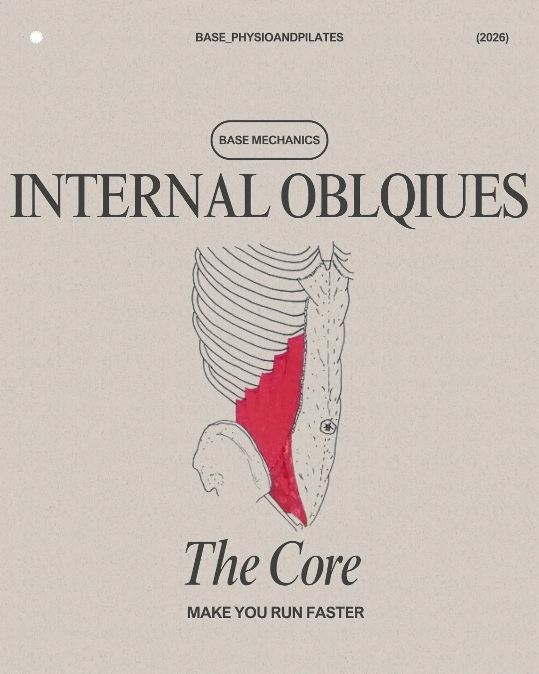 Base Mechanics: Internal Obliques

Rotation is just the beginning.

The internal obliques play a key role in how your body connects, controls, and transfers force.

They help:
&ndash; Link ribcage to pelvis
&ndash; Create and control rotation
&ndash;