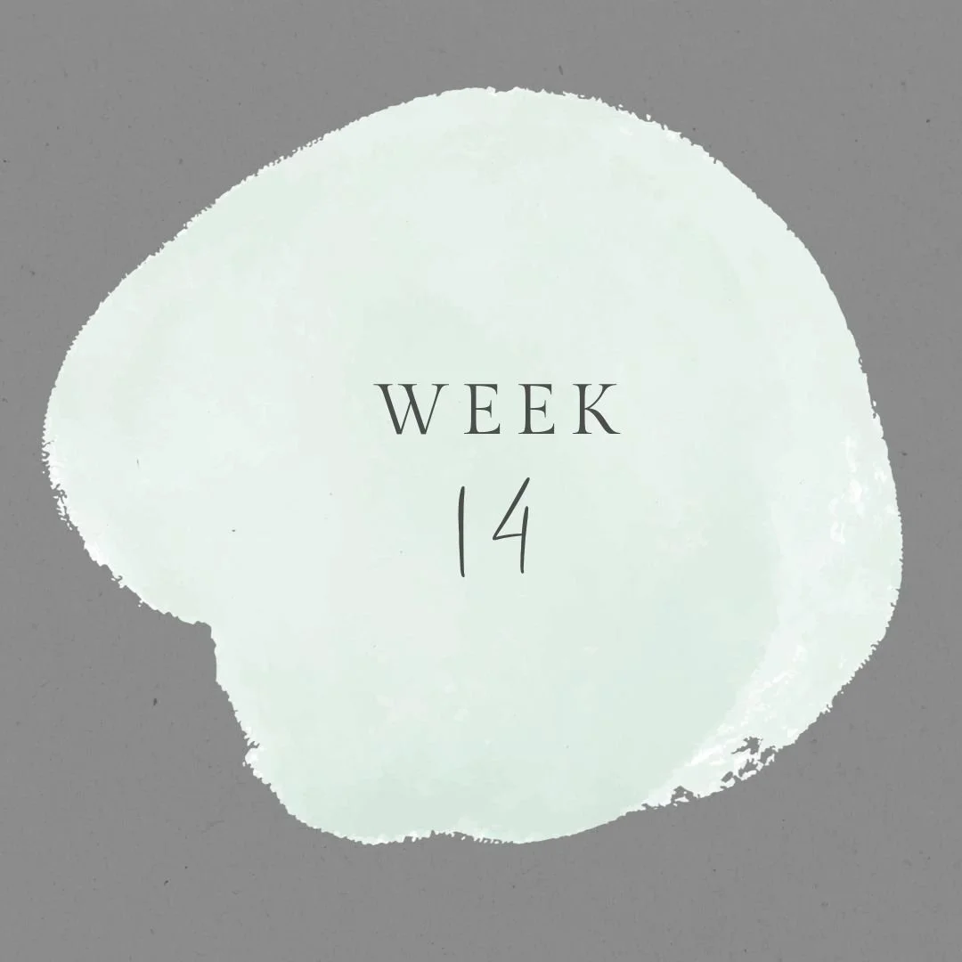 Week 14