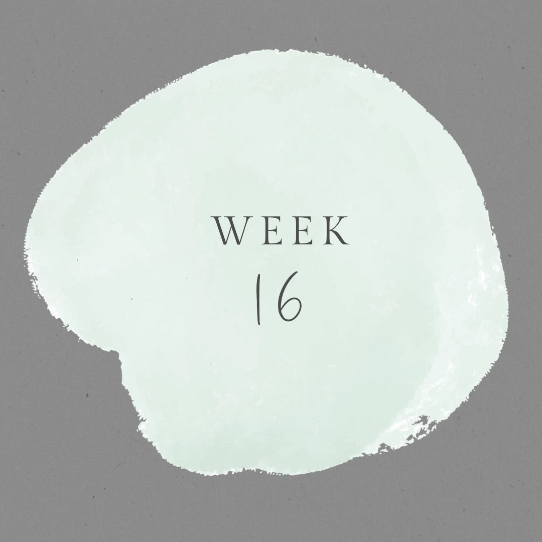 Week 16