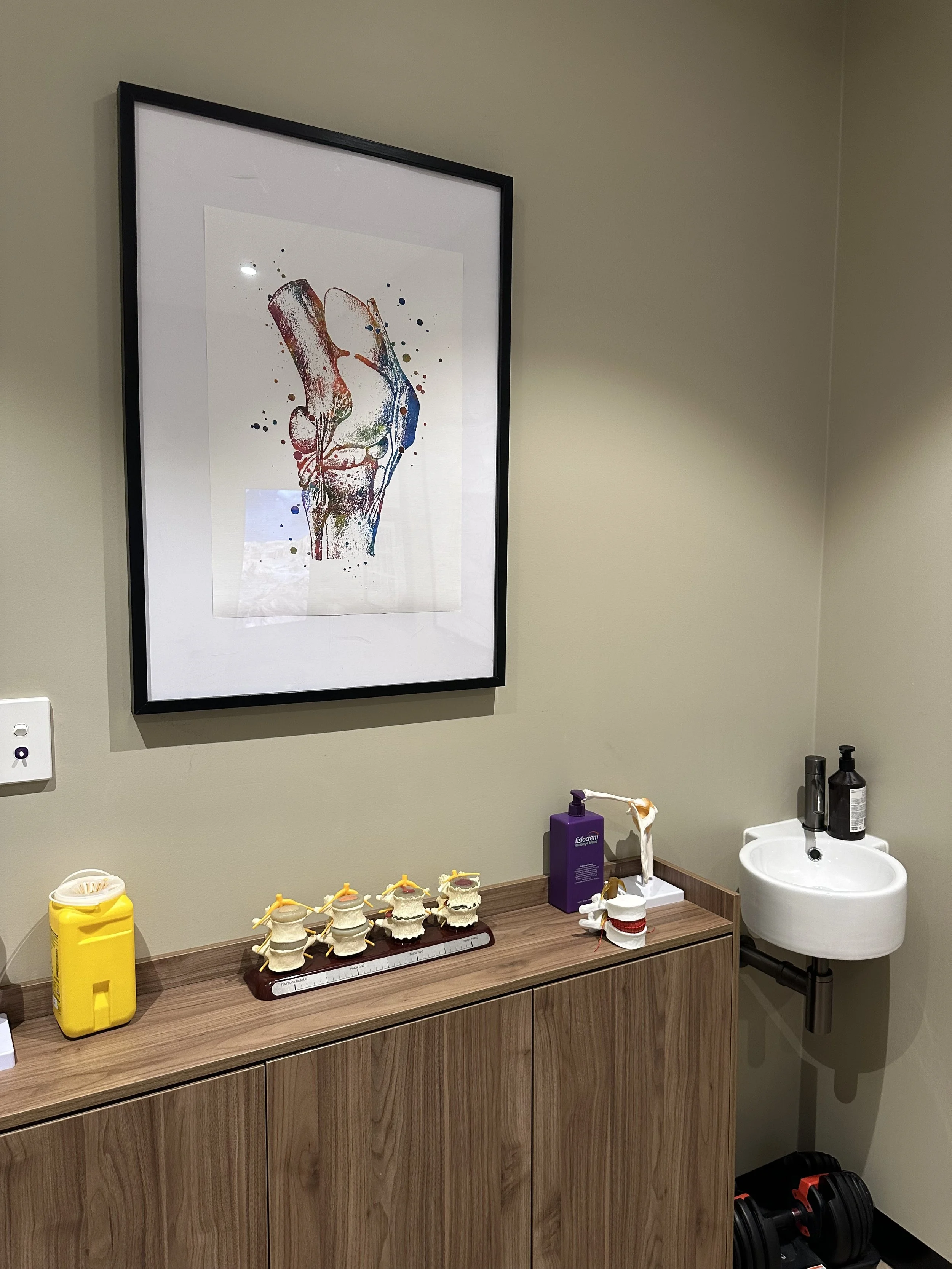 Room with a framed art print of a colorful anatomical hand, a wooden cabinet with model spinal discs, a purple hand sanitizer bottle, a small sink, and black weights on the floor.