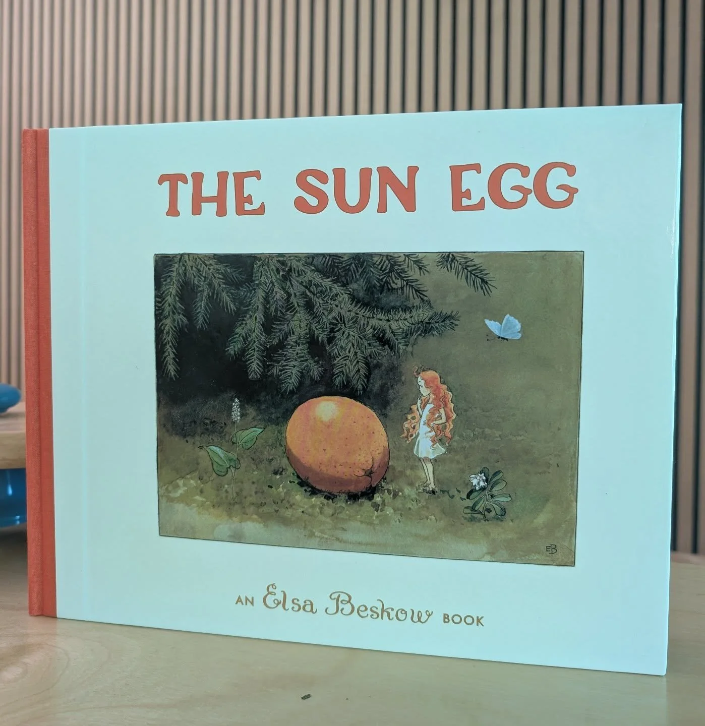 This week is fairy week and our book of the week is The Sun Egg. It's the sweetest book about a fairy that discovers an orange.