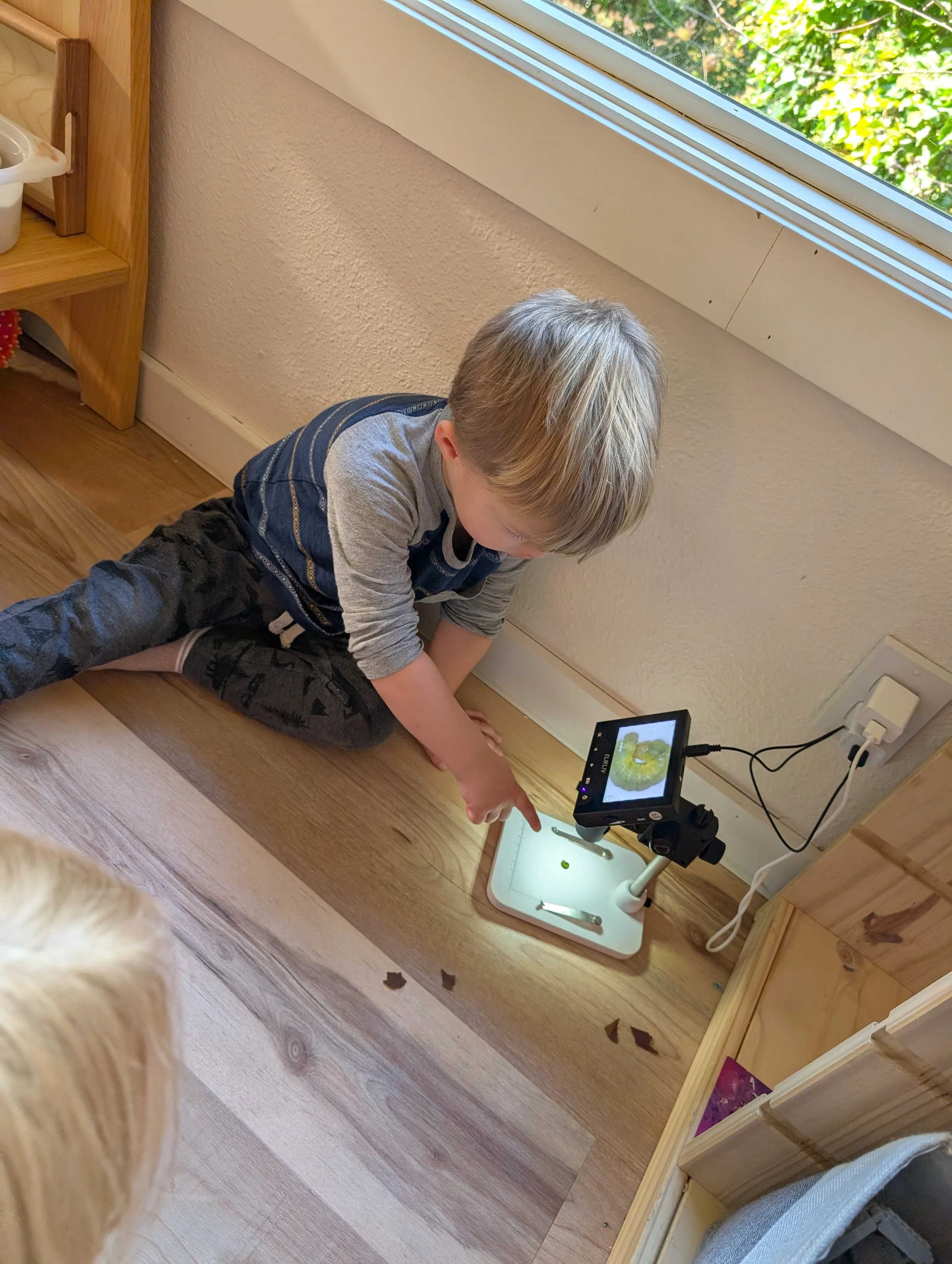 A young boy with blonde hair sitting on the wooden floor next to a wall, pointing at a small lighted incubator with a monitor and tools inside, near a window with green foliage outside.