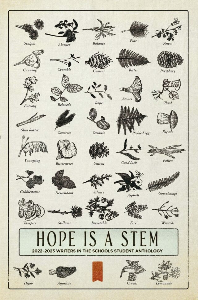 hope is a stem.jpg