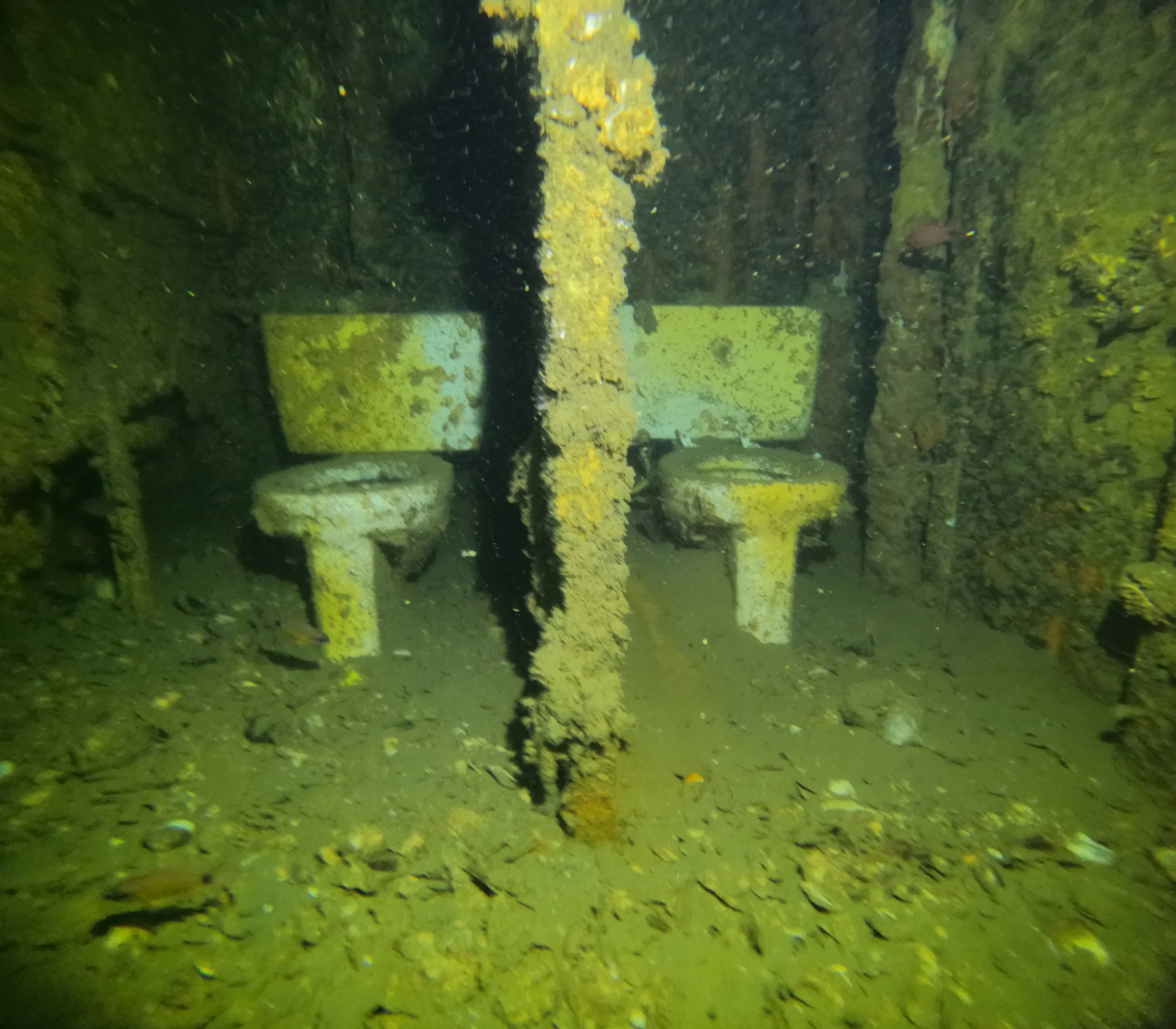 bagno relitto king cruiser