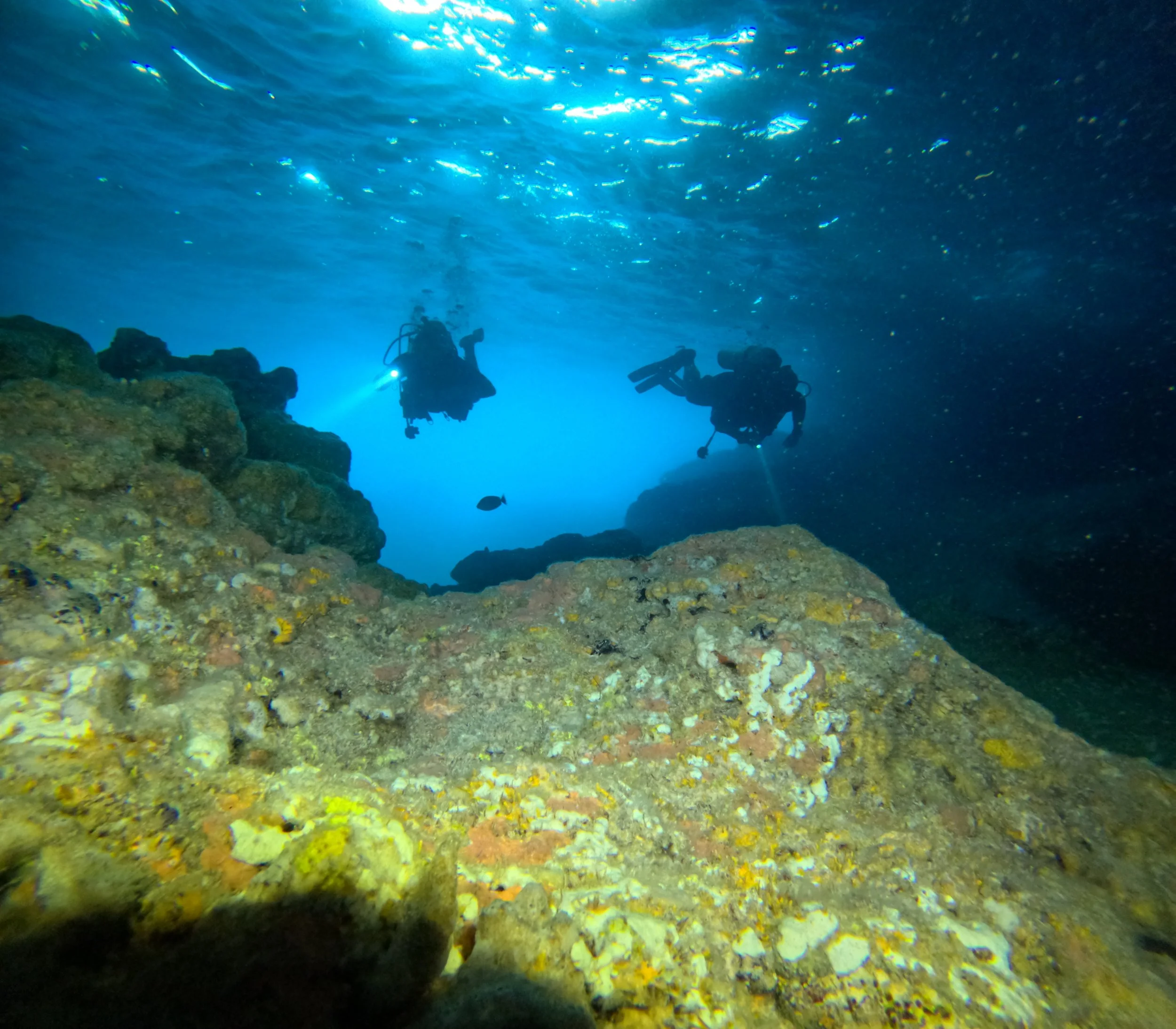 Due subacquei esplorano una scena sottomarina con rocce, una piccola fish e acqua blu