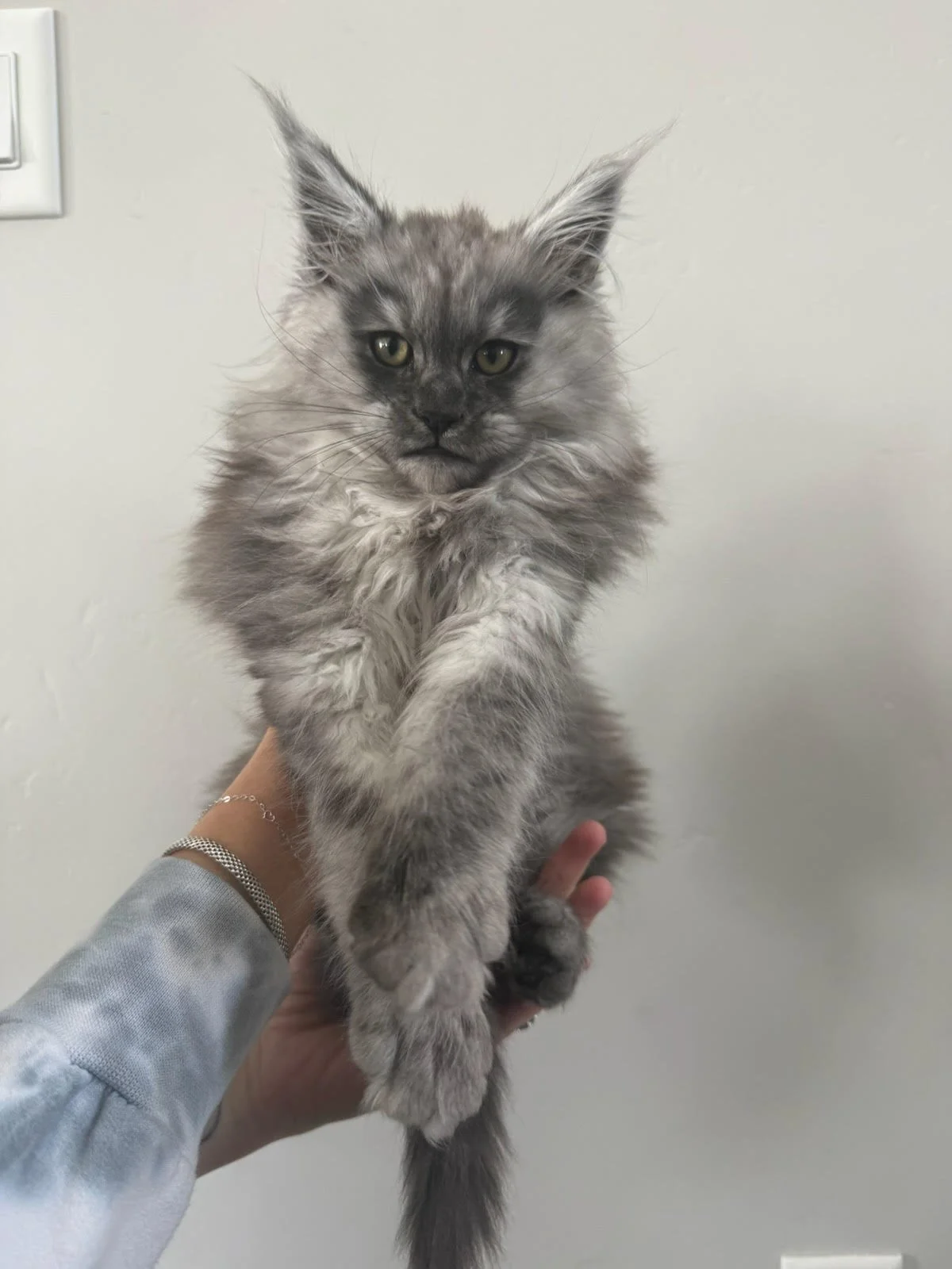 Billy go-home photo.jpg