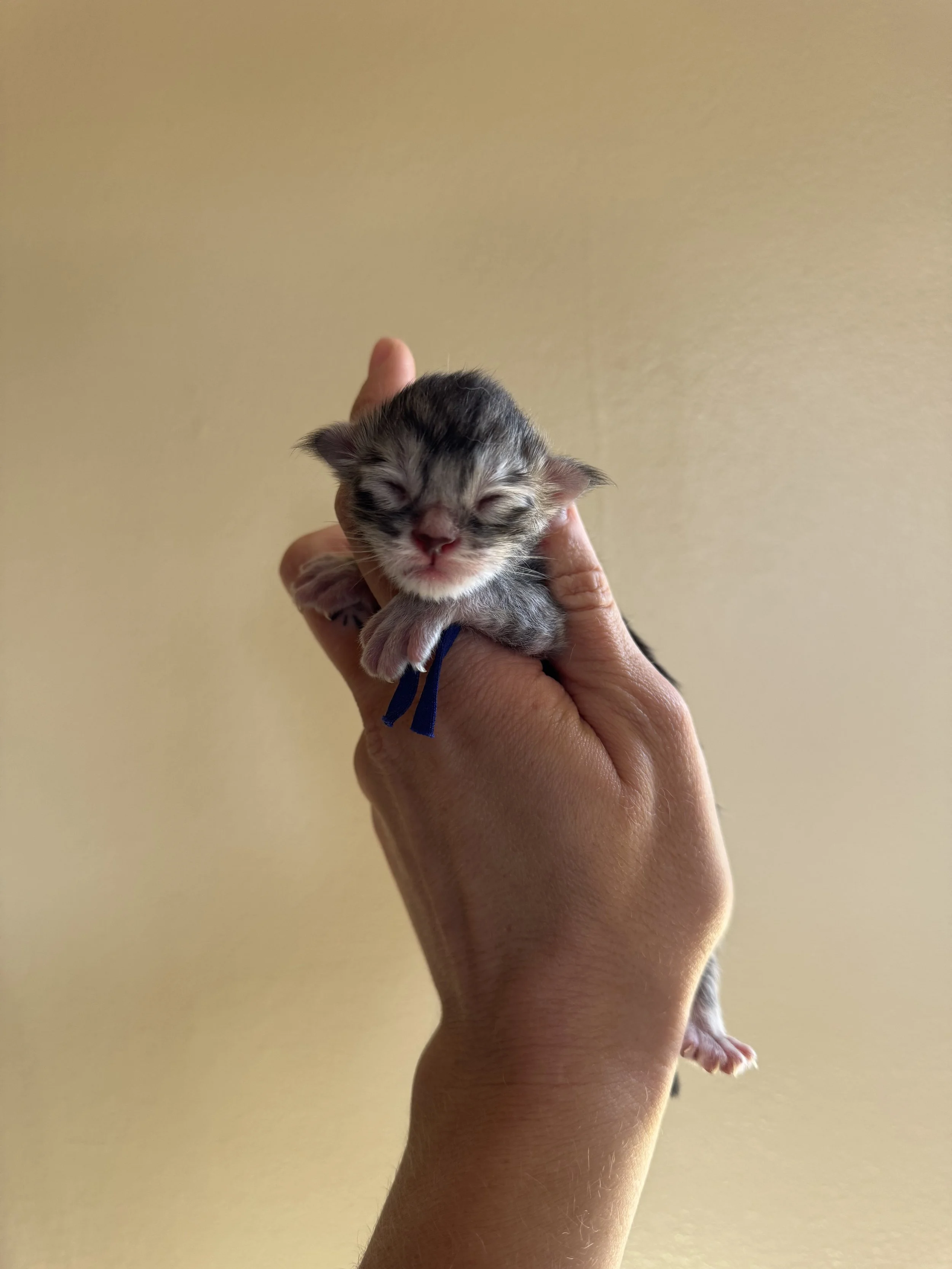 IMG_4539.jpeg