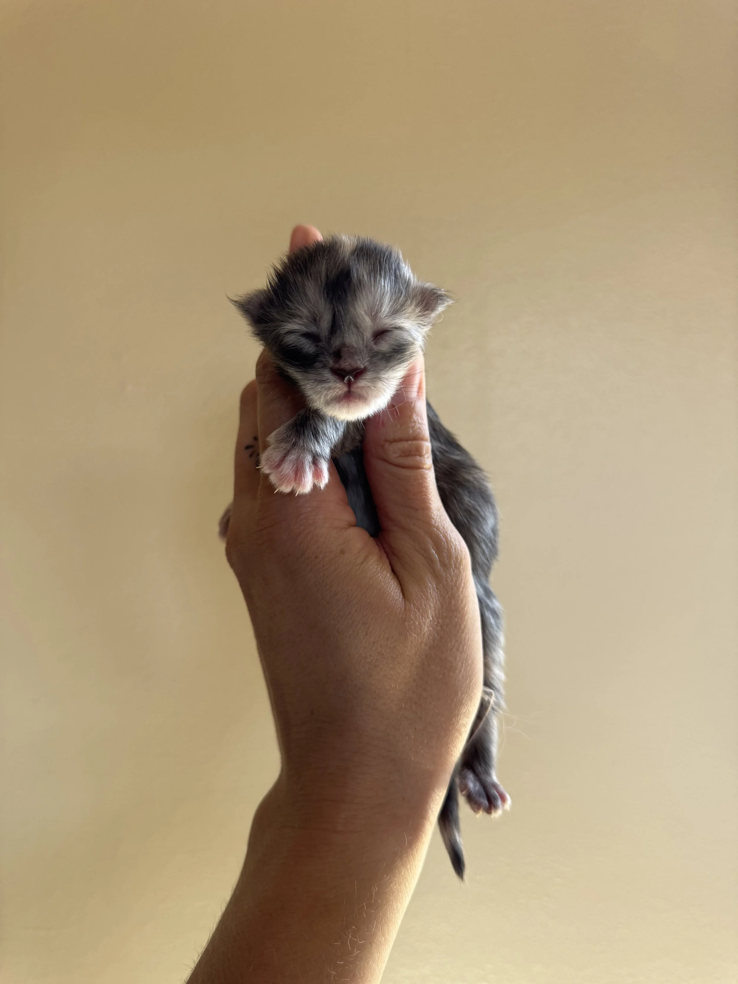 IMG_4540.jpeg