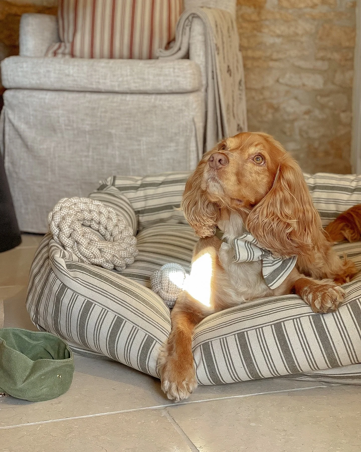 The most beautiful pieces for your four legged friends - swipe to see what&rsquo;s in store at Barkford Barn ! 🐾