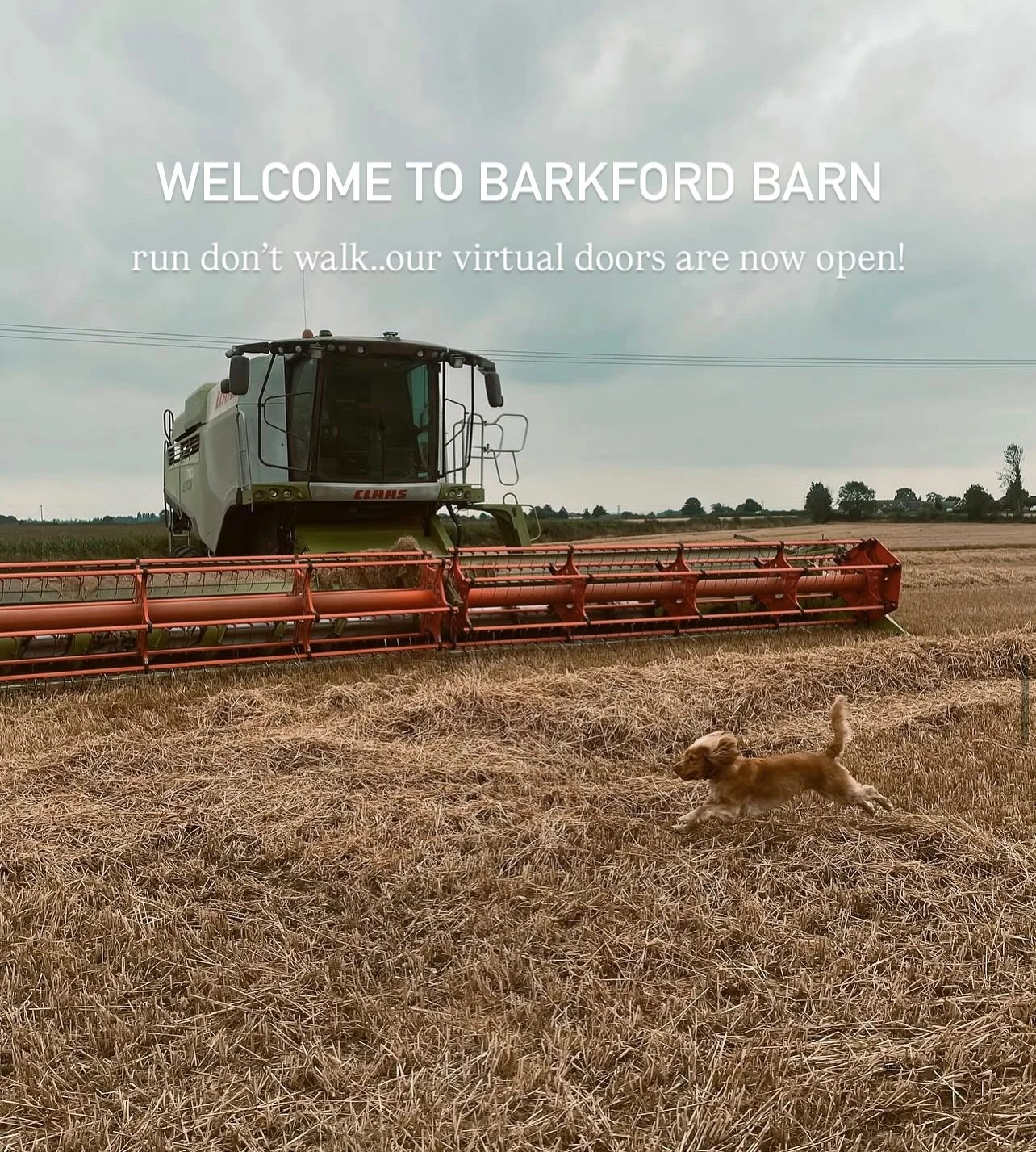 We are SO excited to finally share Barkford Barn with you all! 

Our virtual doors are now open &amp; we hope you love our curated collection for your quintessential country hound 🐾 🐕 

Our products have been shot in the beautiful @littlenookcottag
