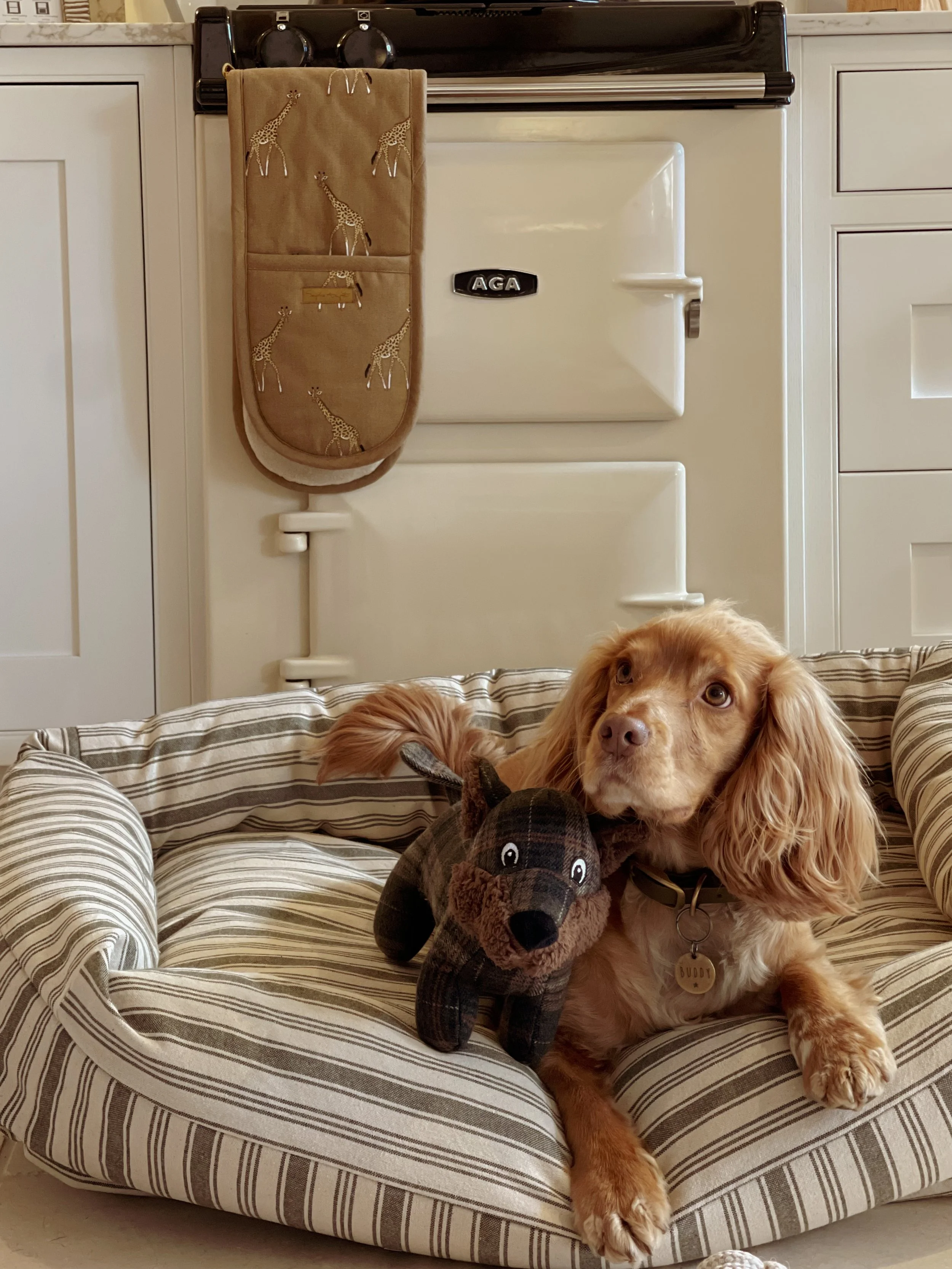 LUXURY DOG TOYS 