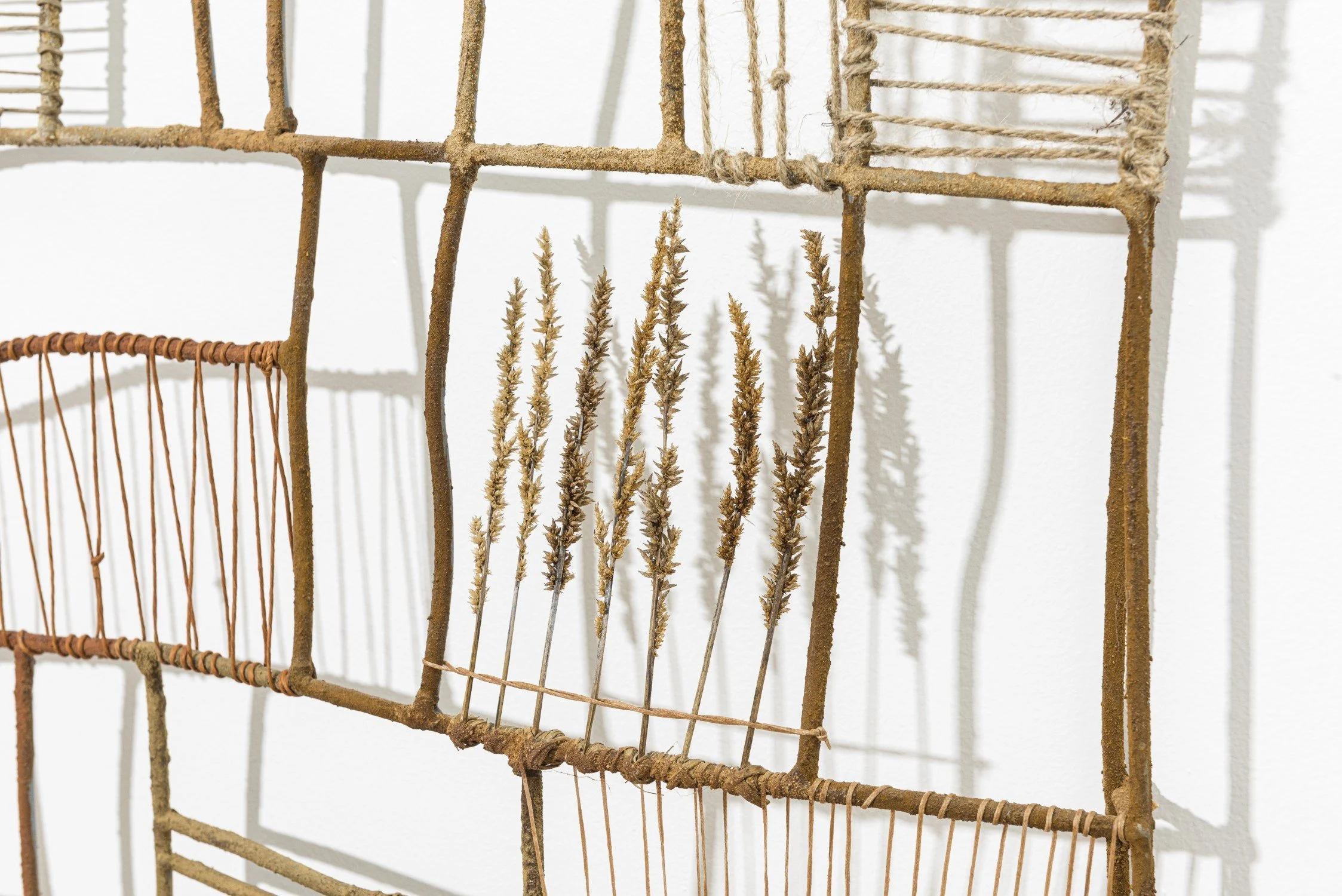 _AJM2505 (Custom).jpg