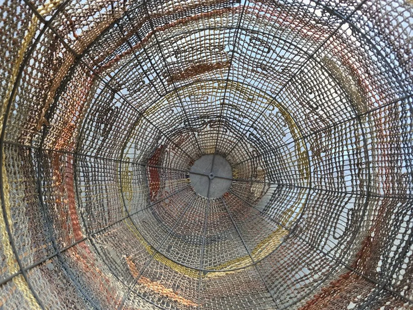 20240425_145903 (Custom).jpg