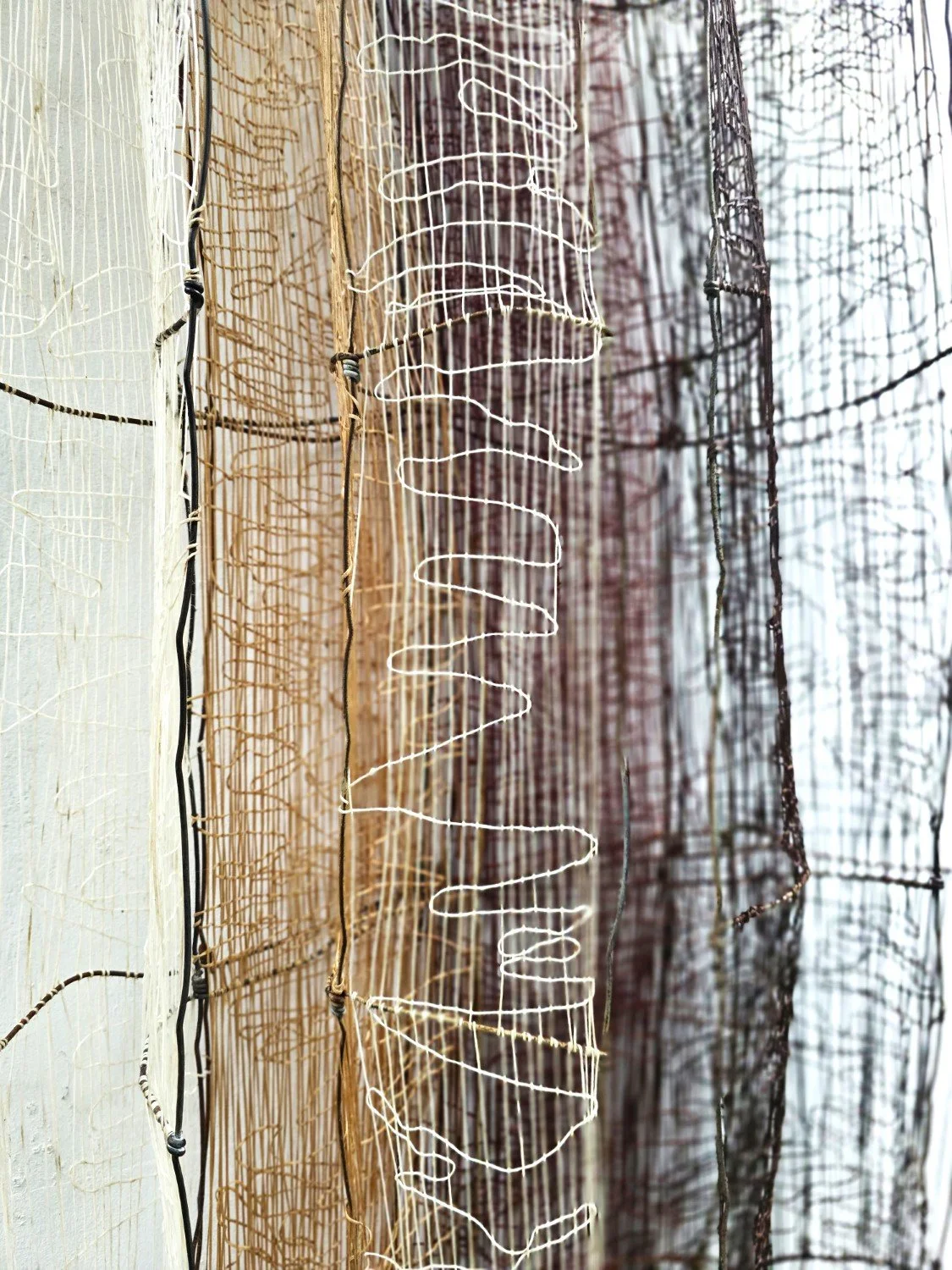 HARRIET_GOODALL_Symbiosi