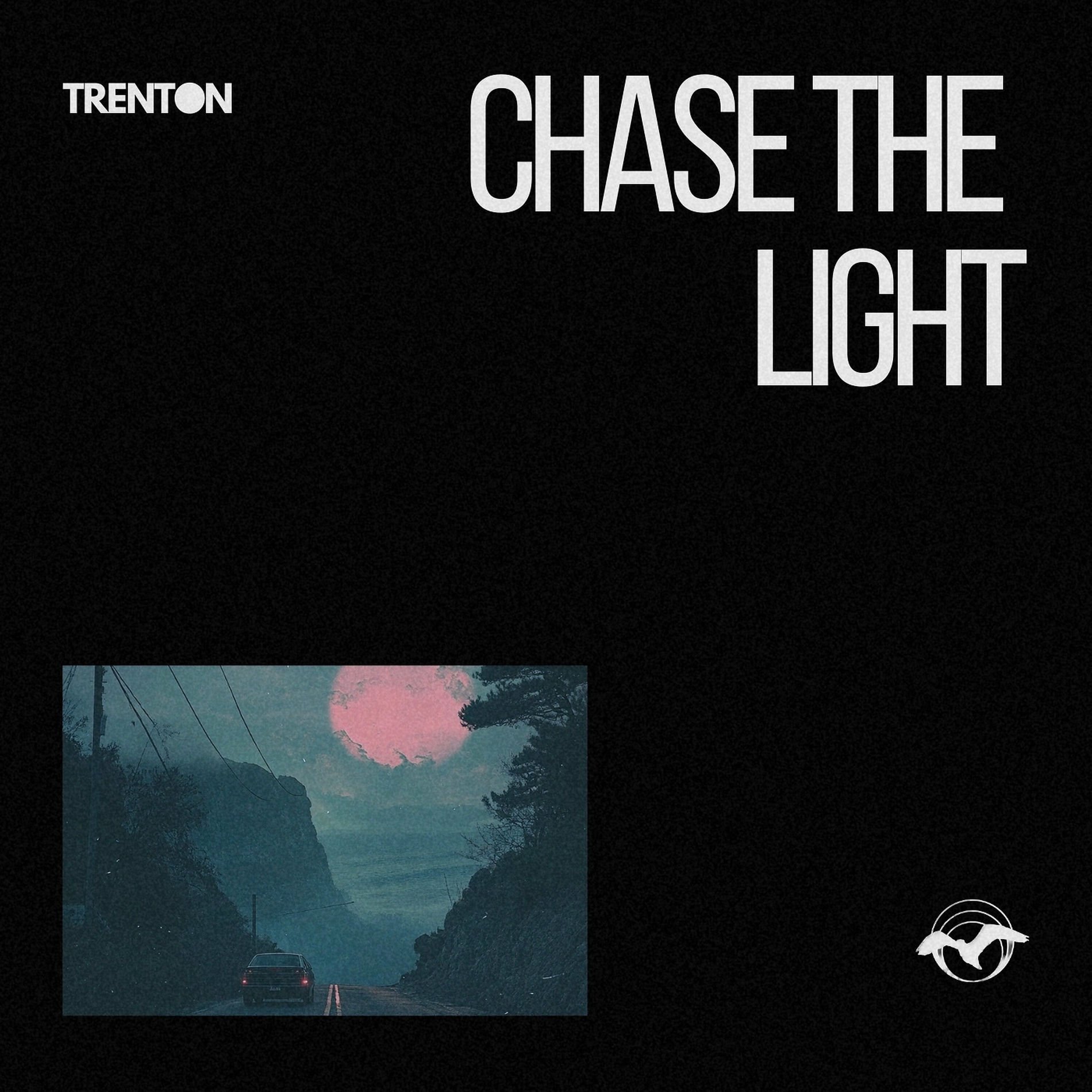 Chase The Light by Trenton