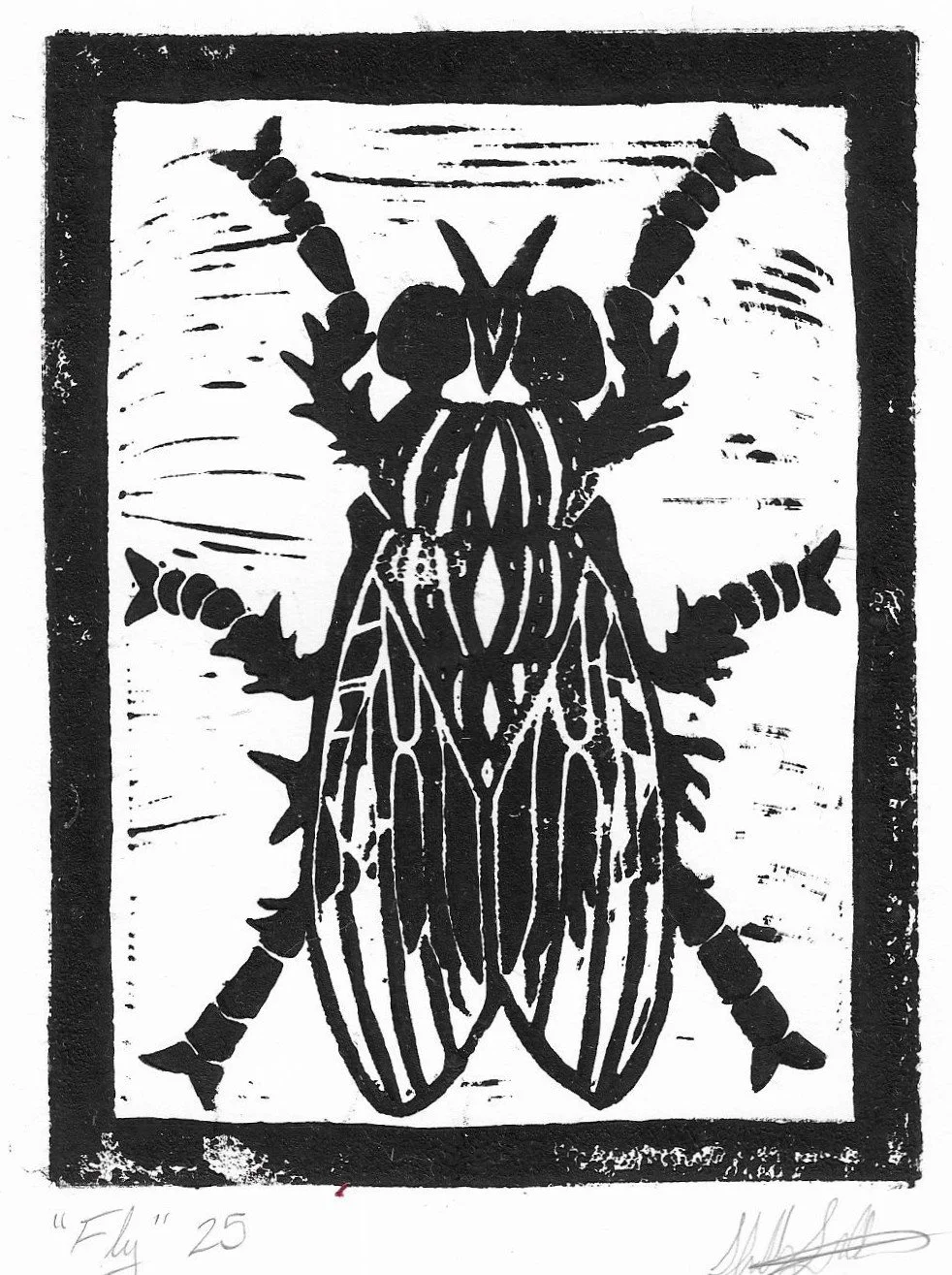 Fly, 2025: Linocut