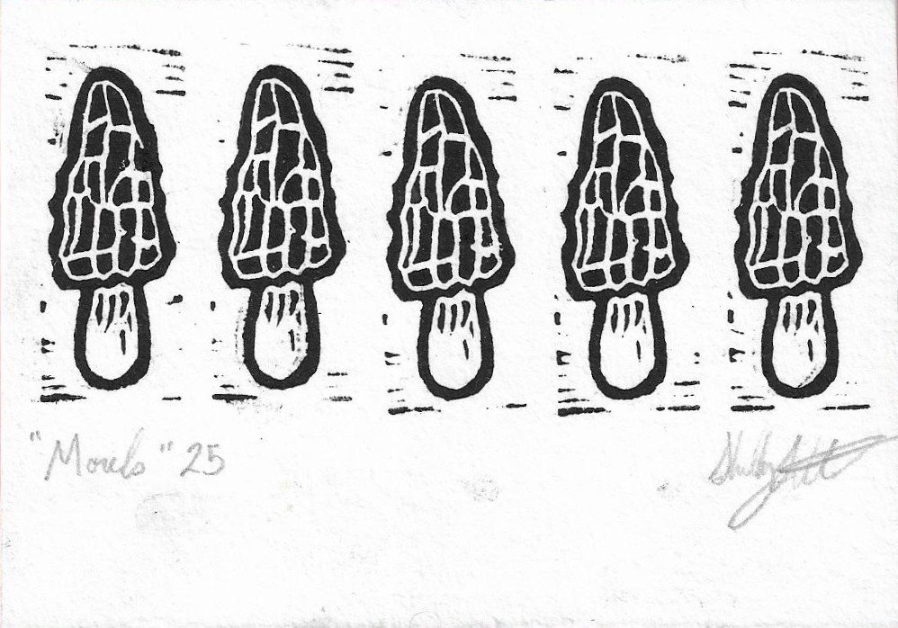 Morels, 2025: Linocut