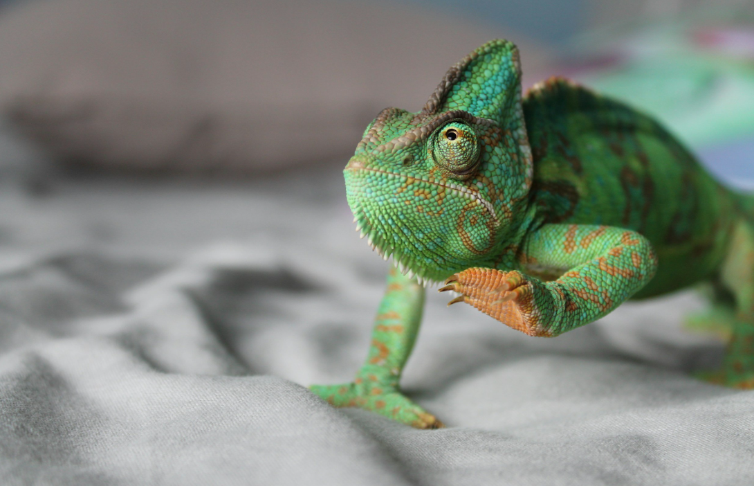 Finding Your PACE: A Practical Approach to Motivation and Organisation