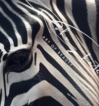 sublime nature 🙏🏼 #blackwhite #art #artofbeauty