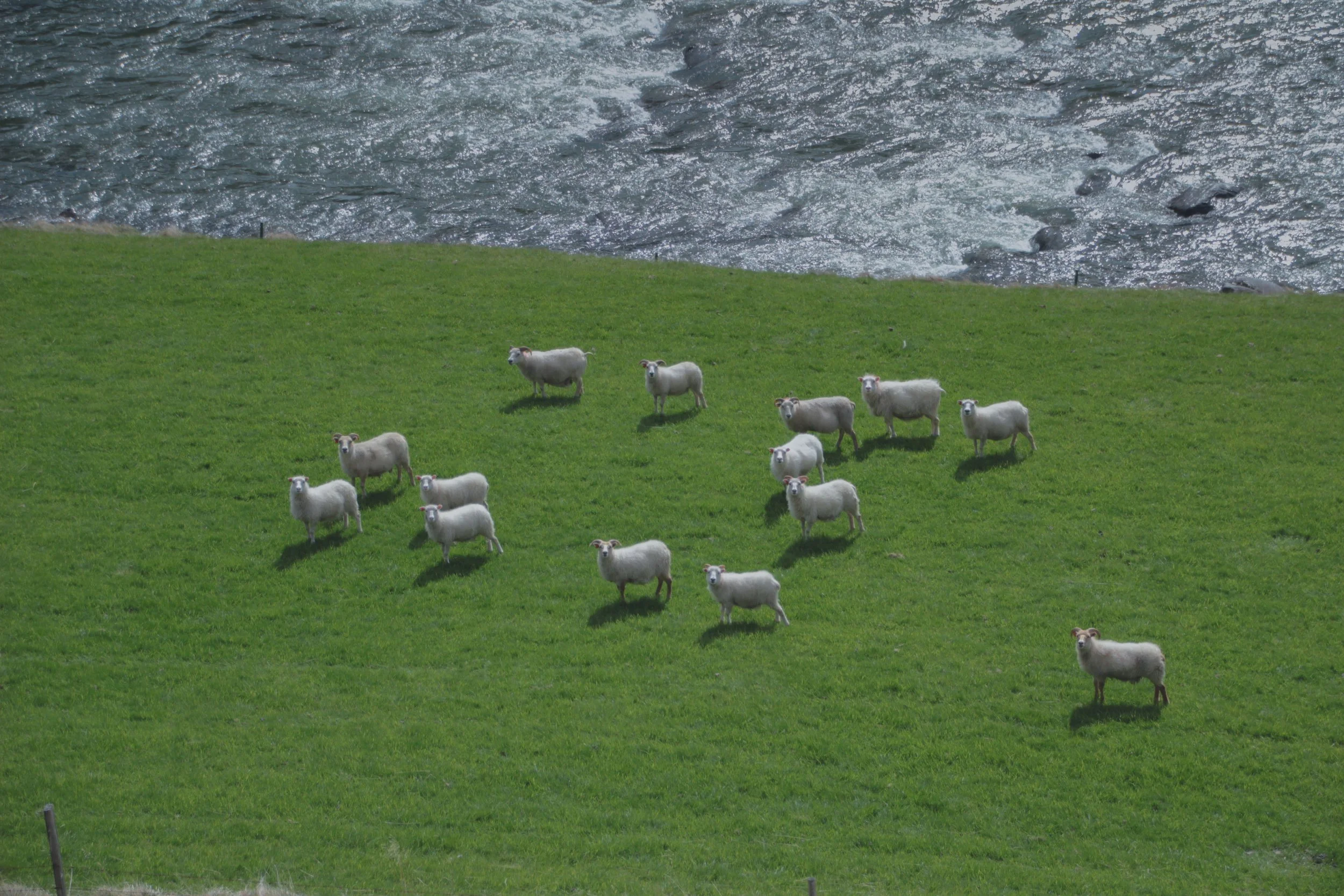 Islande