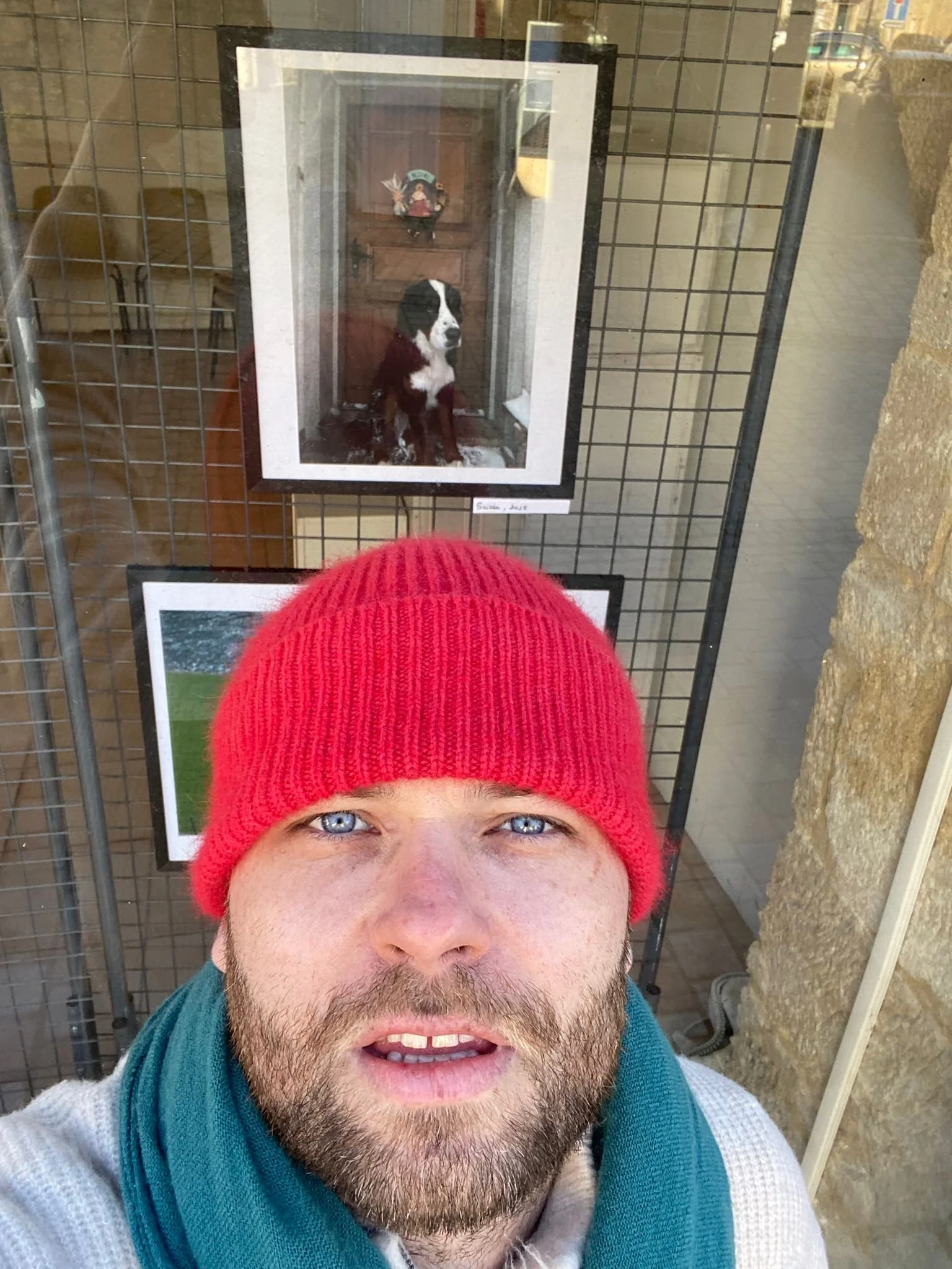 Un homme portant une bonnet rouge et une écharpe bleue prend une selfie devant une exposition de photos de chiens, dont une de pâte damérican appelée Suisse, qui est exposée derrière une grille.
