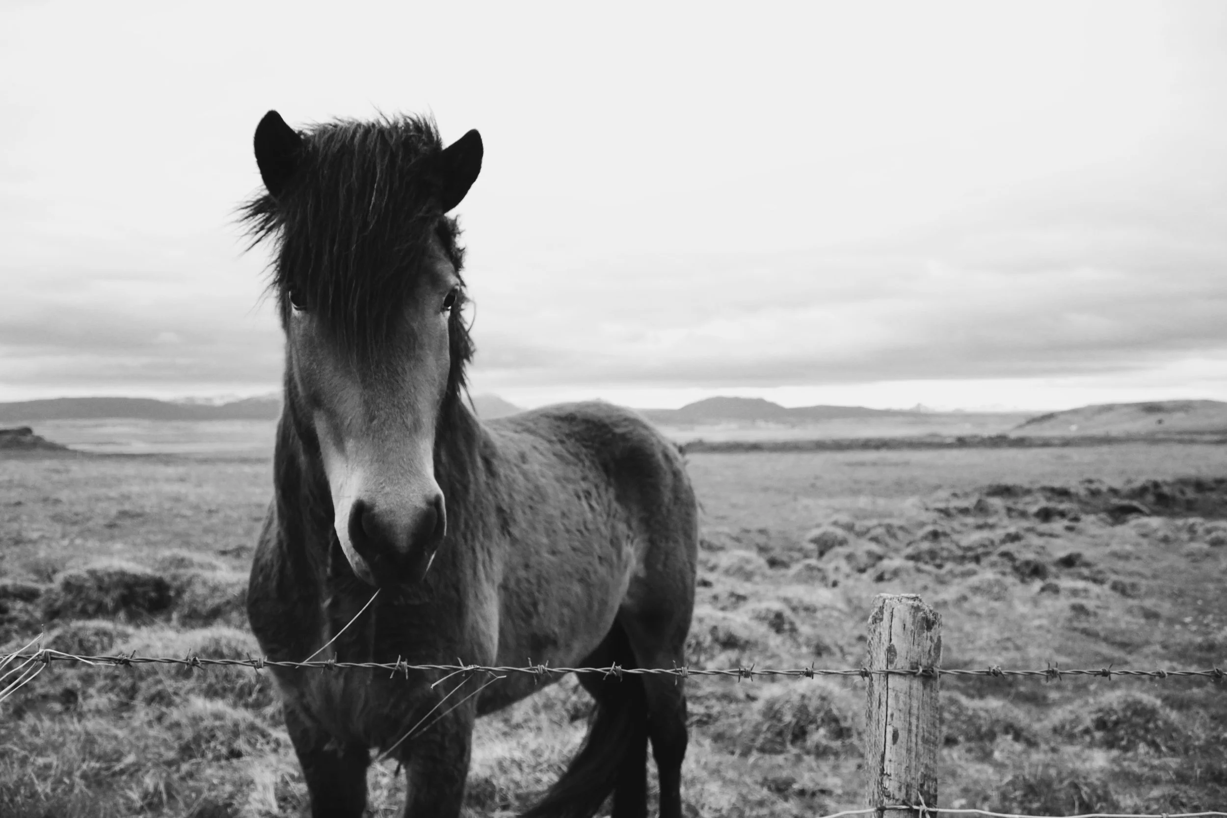 Islande