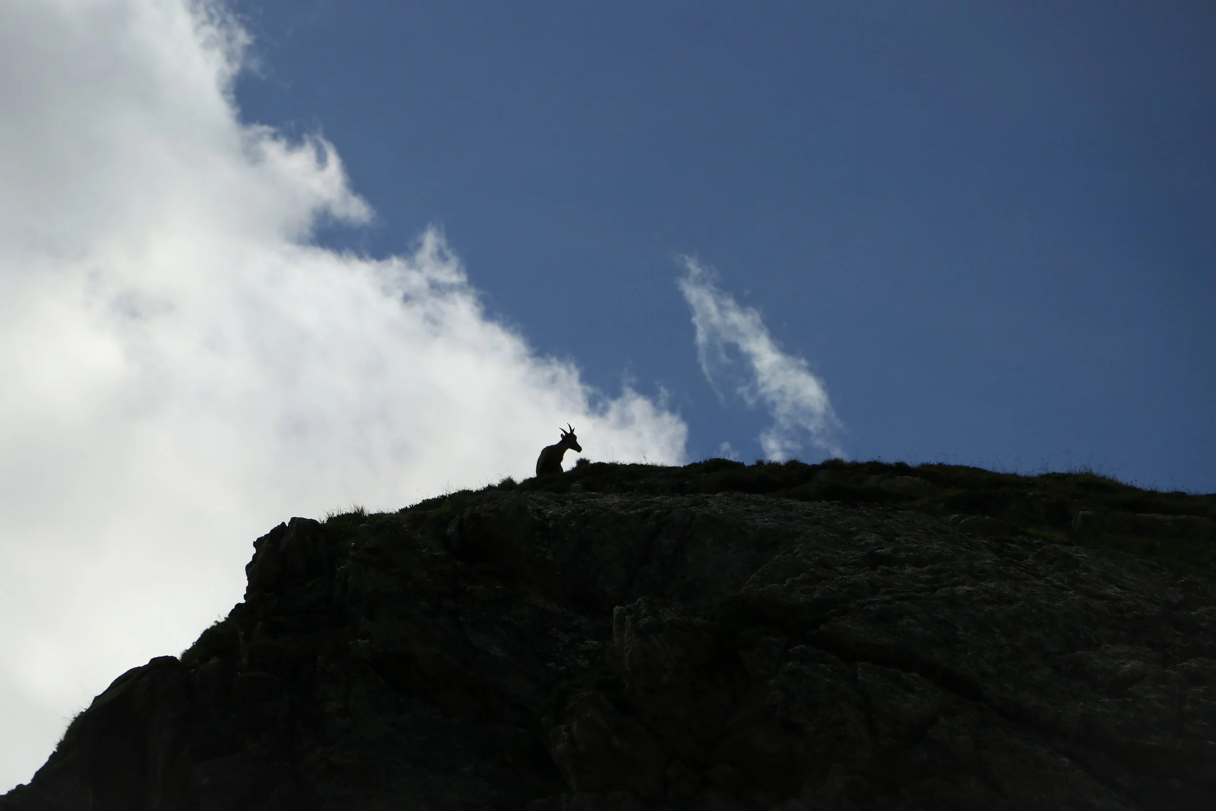 Pralognan-la-Vanoise