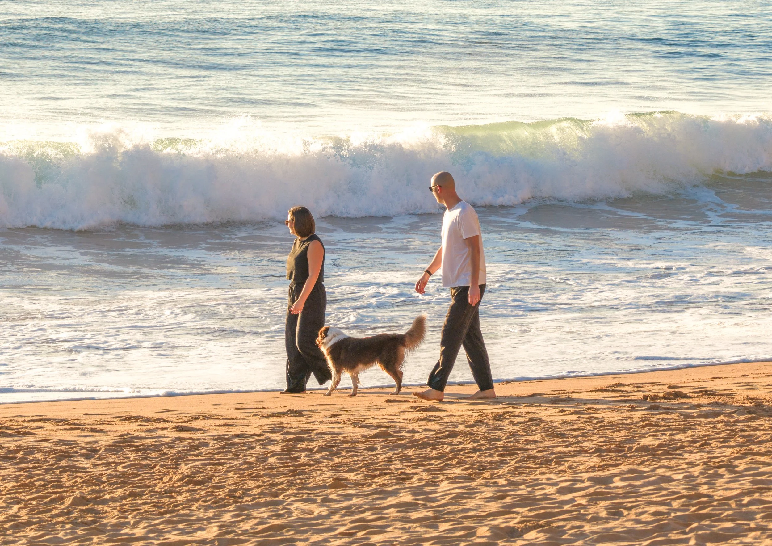Two people walking along the beach with a dog, with the ocean waves in the background during sunset.