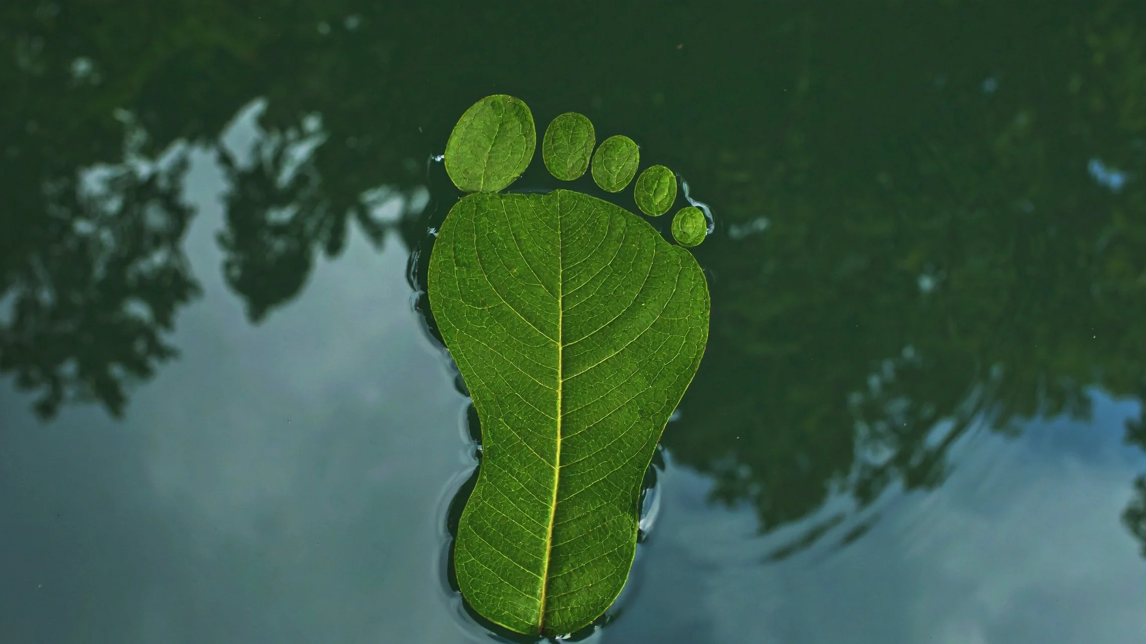 Green leaf homepage 2.jpg