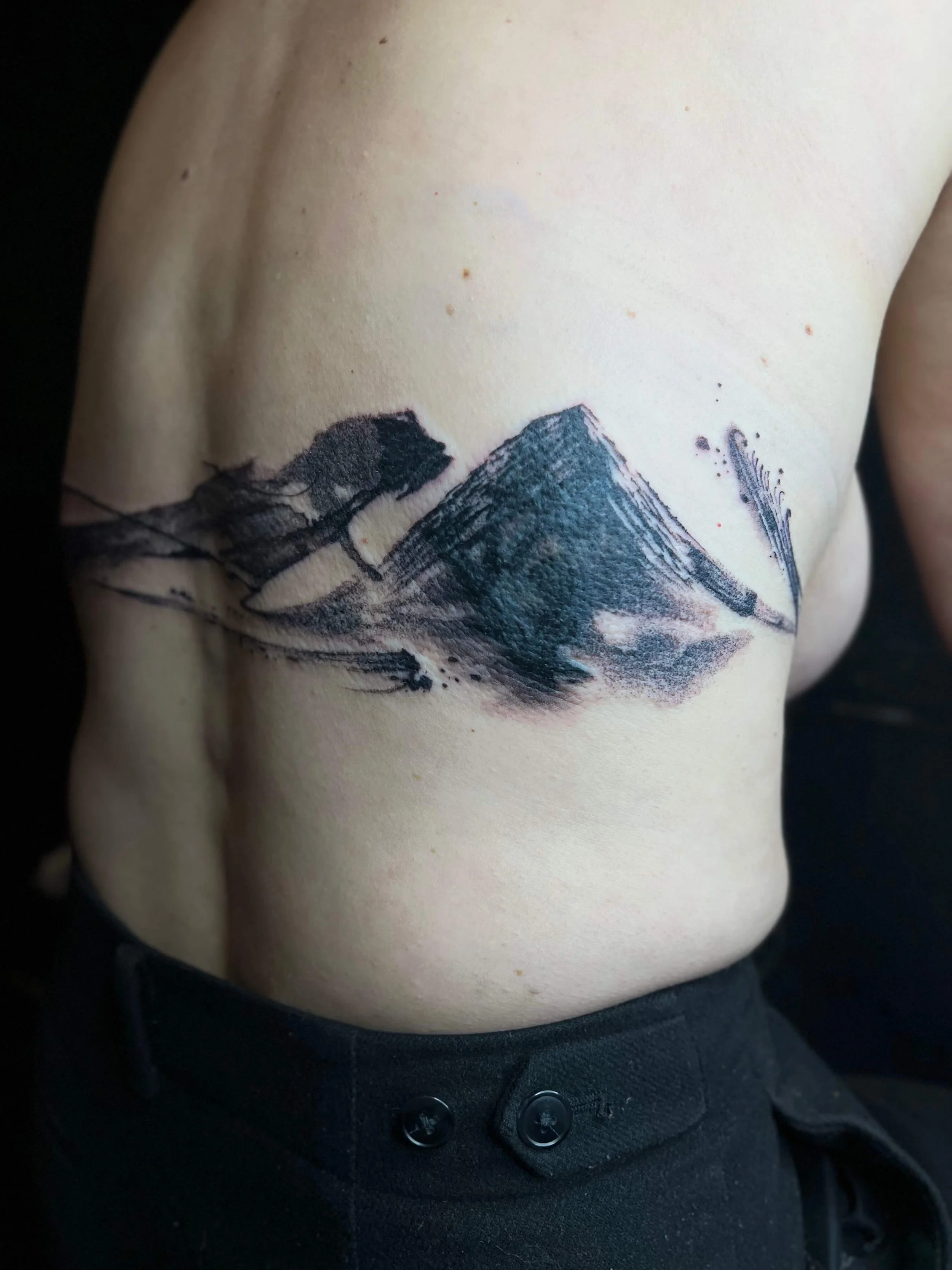 Contemporary black ink landscape composition with stylised mountain and botanical elements.