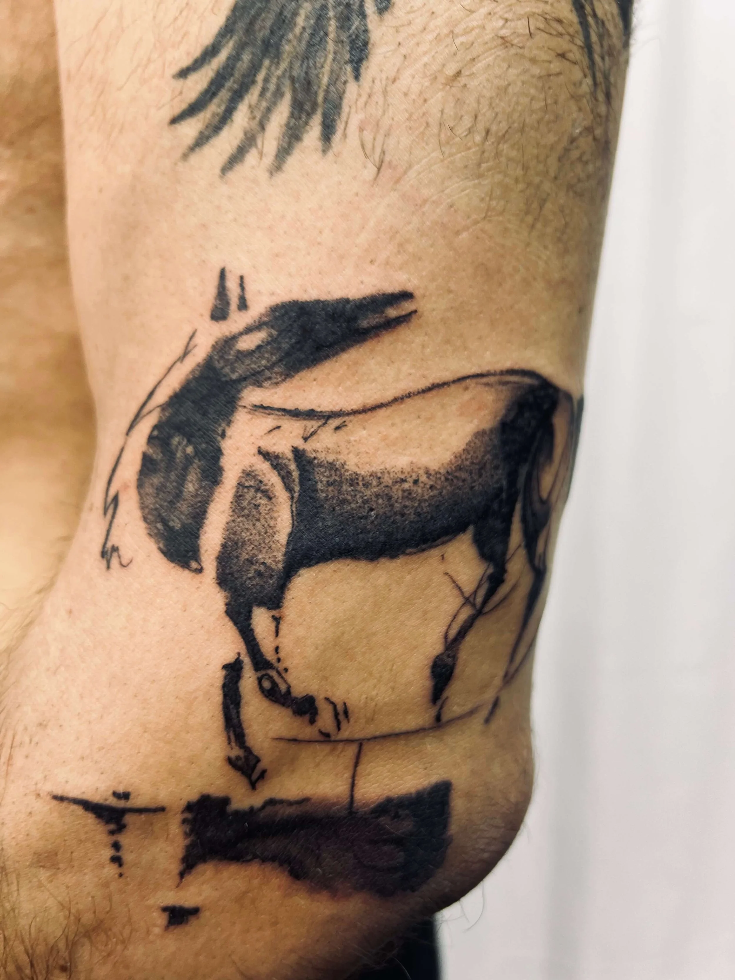 Contemporary blackwork horse design with bold silhouette and minimal abstract detailing.