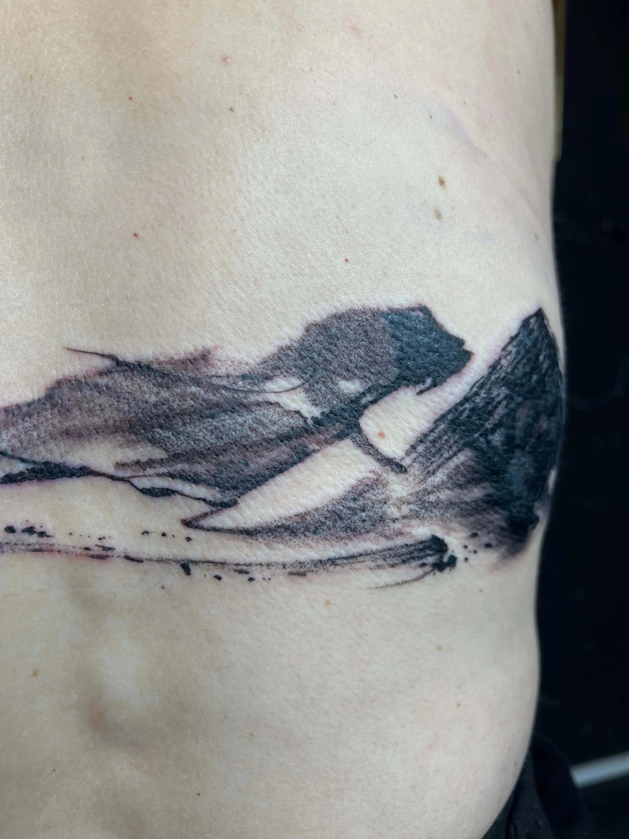 Contemporary blackwork mountain design with soft gradient shading.