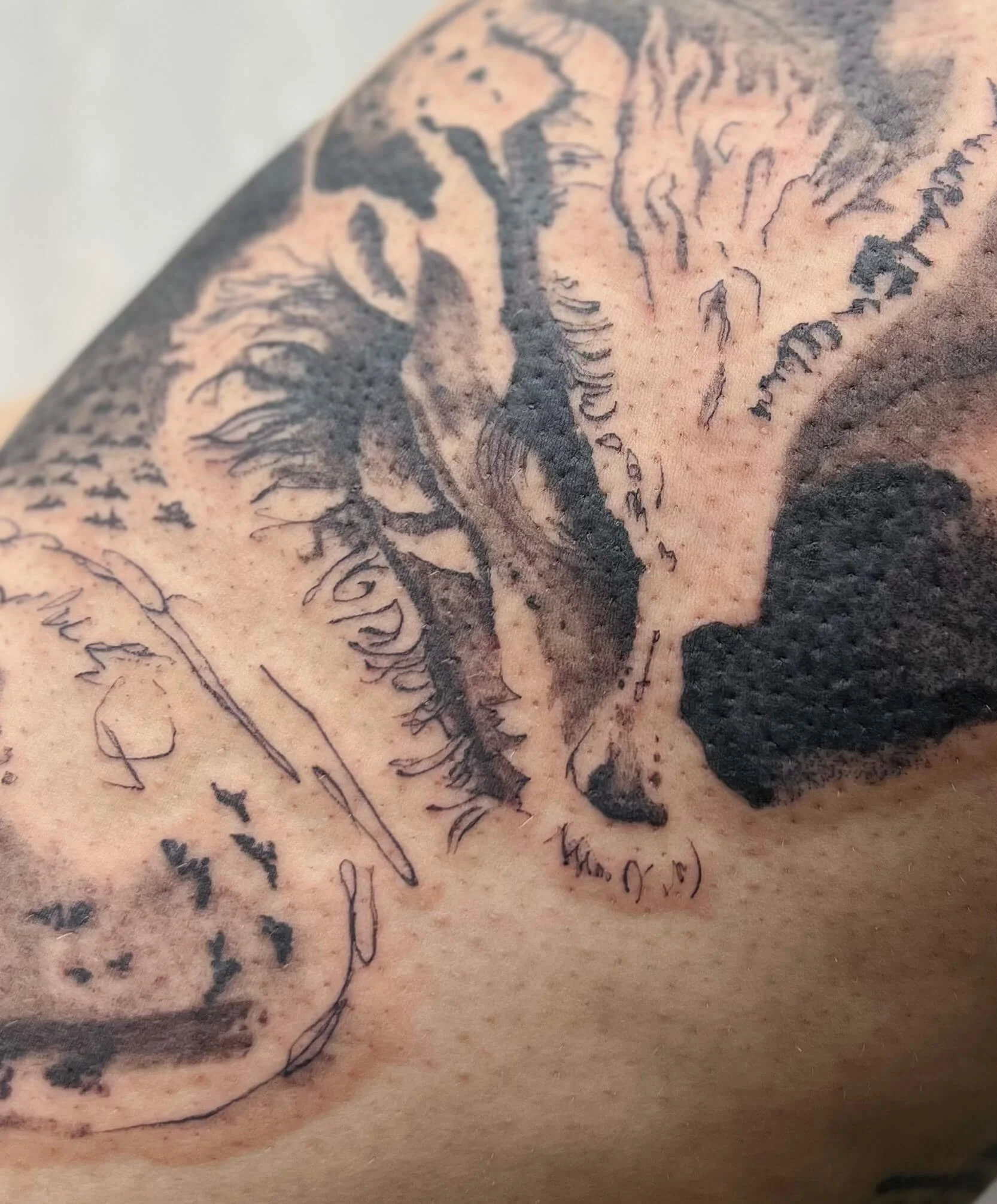 Illustrative dragon portrait in blackwork style paired with expressive pattern.