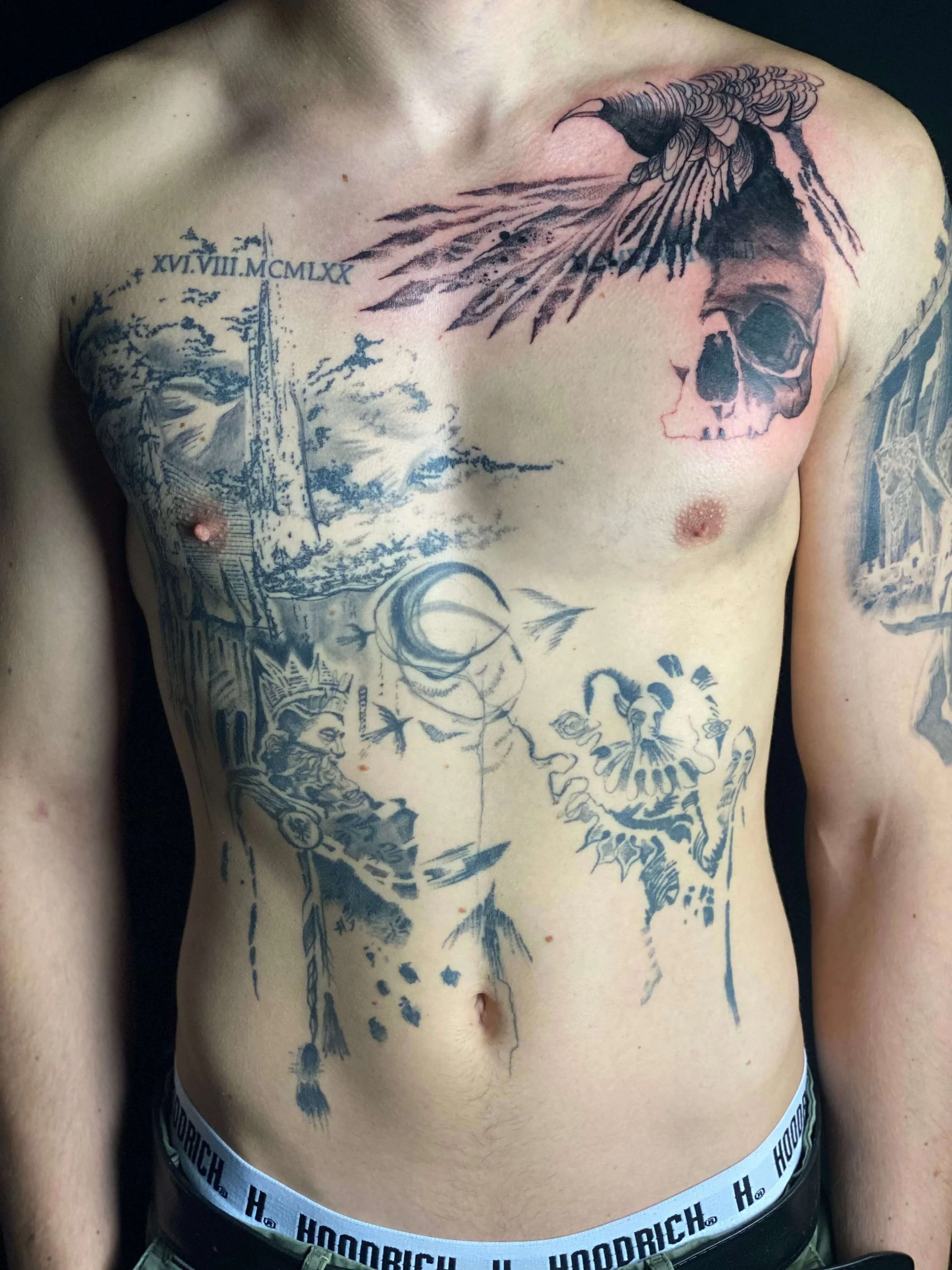 Blackwork skull and bird composition in detailed illustrative style.