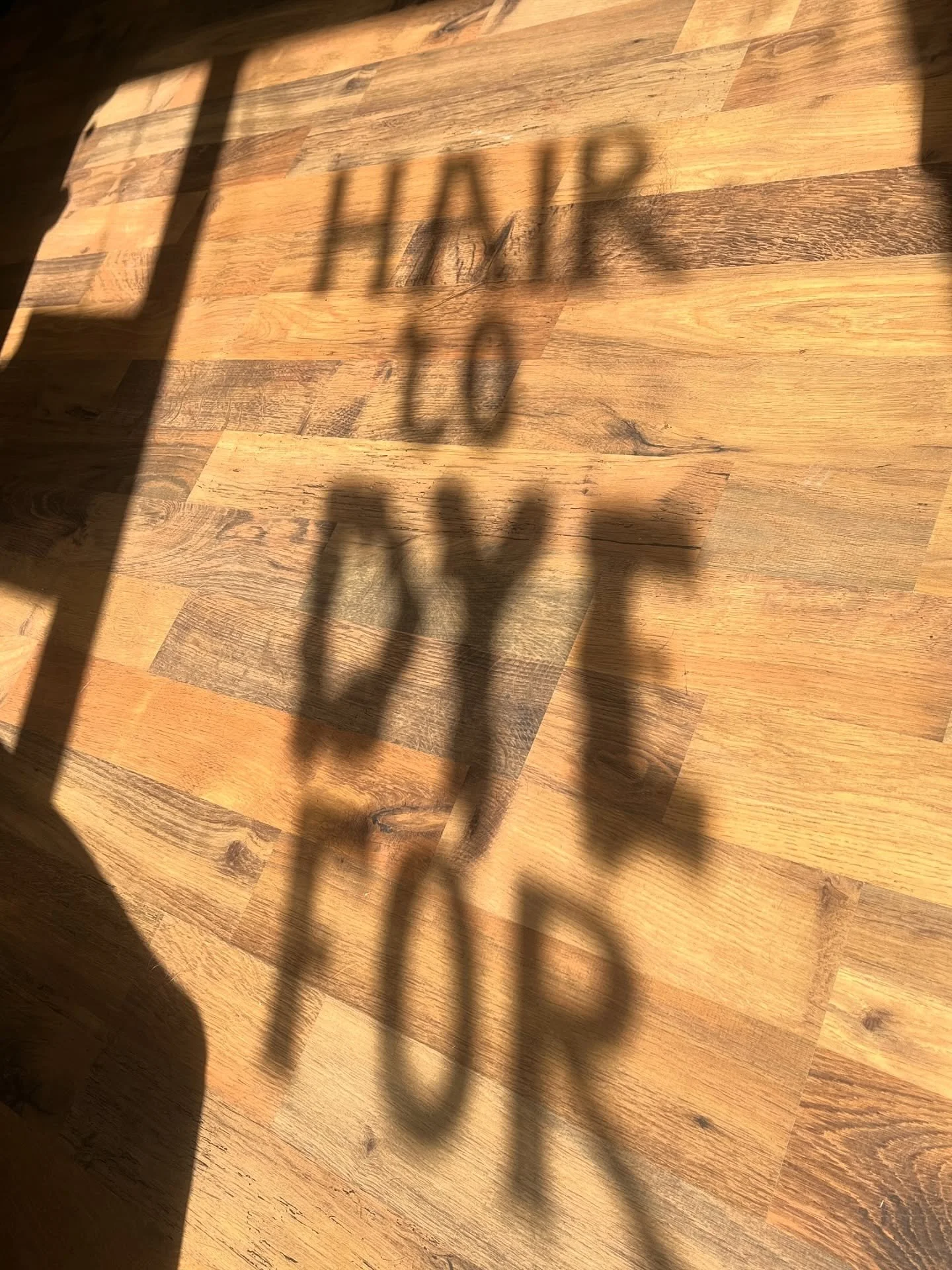 How EPIC is this shadow from the autumn window decor 

#halloween #autumn #leedshair #leedssalon