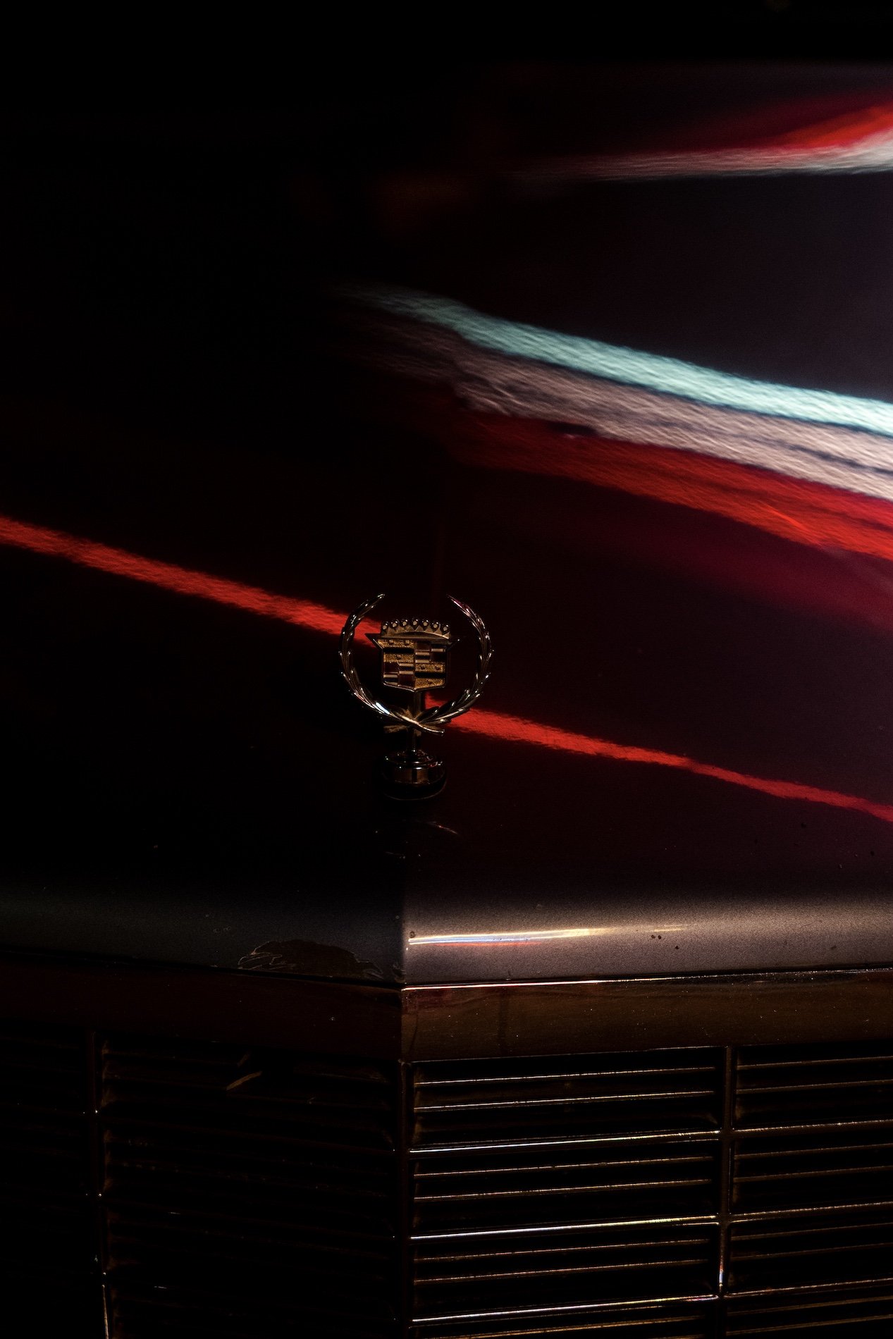 L1031704.jpg