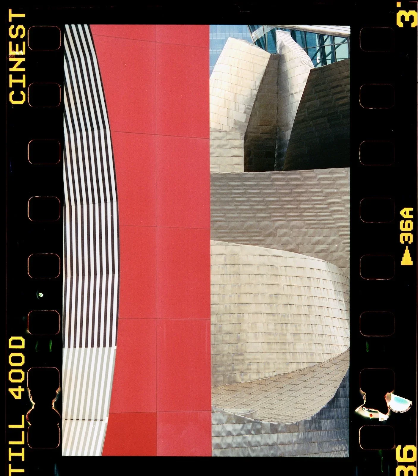 BILBAO_CANON_EOS_1_CINESTILL_400_+(23).jpg.webp