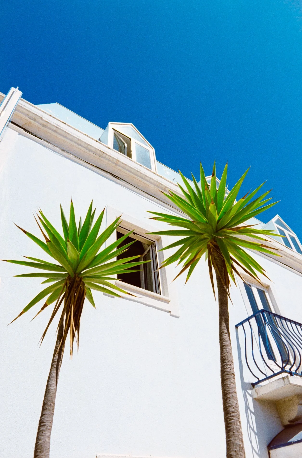Ericeira, Two Palms, 2023