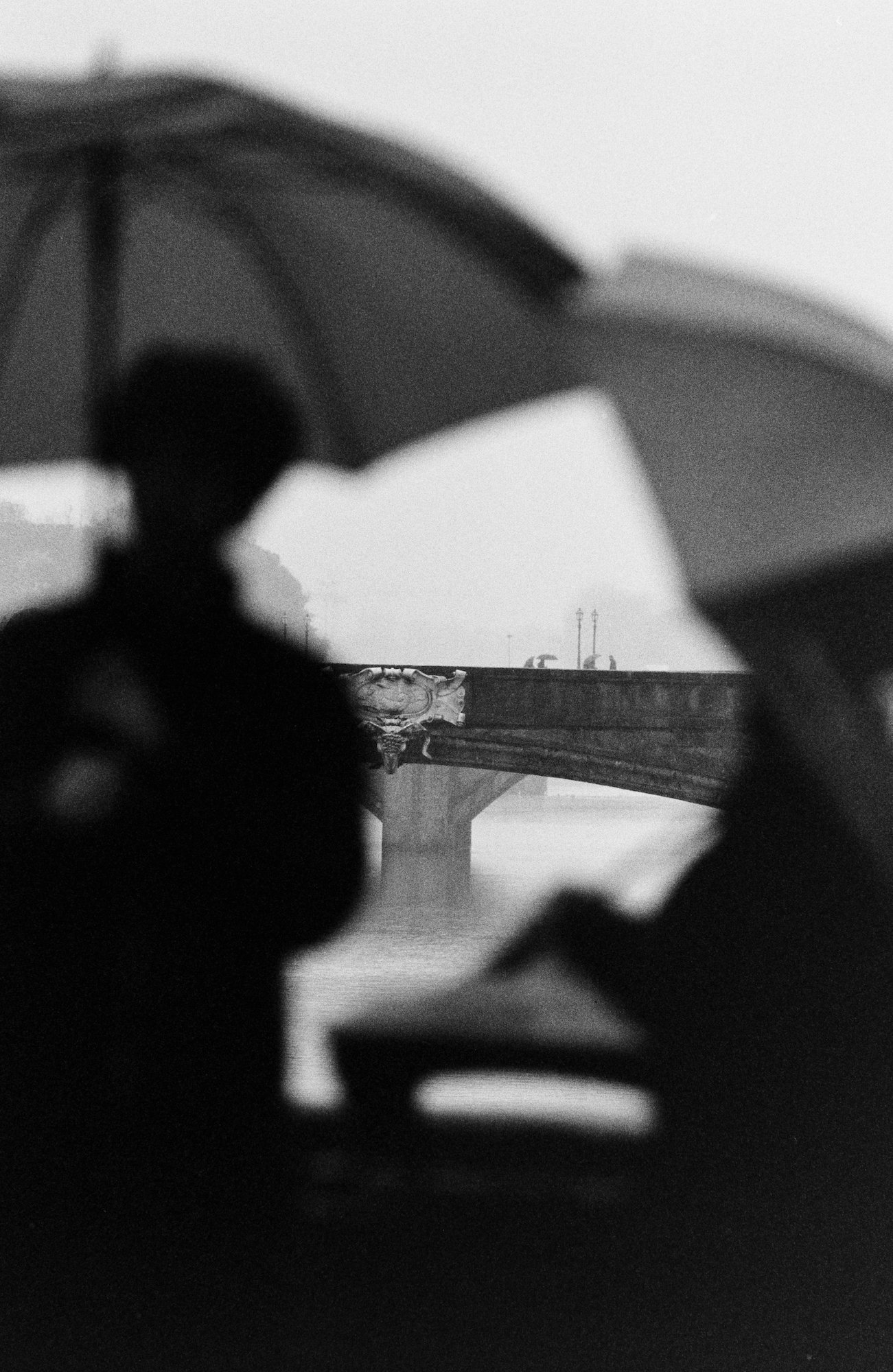 00-2-WRONG LAB 1-14.JPG