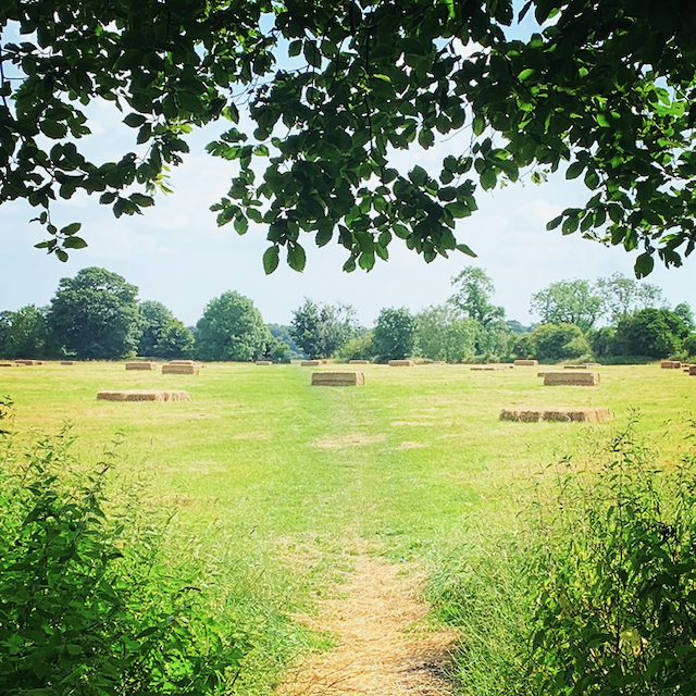 Walking area - National Trust farmland