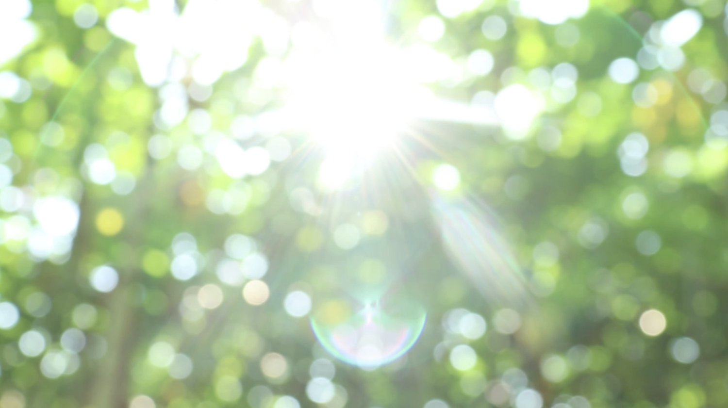 Website green header backup image.png