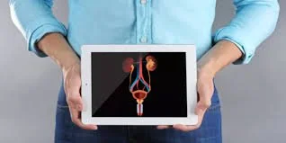 الحفاظ على صحة الجهاز التناسلي للمرأة والرجل